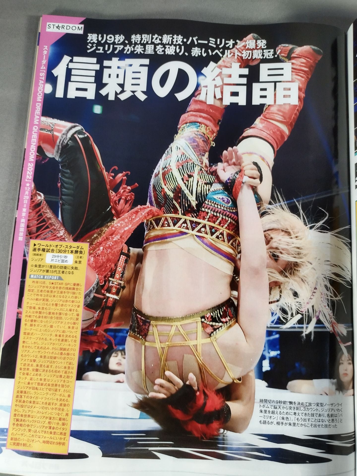週刊プロレス2223