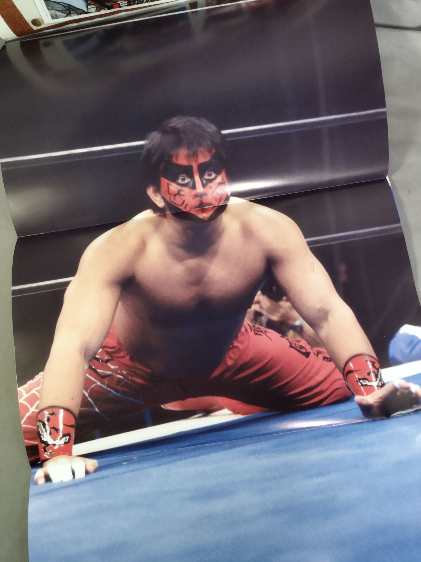 Weekly Pro Wrestling 2227