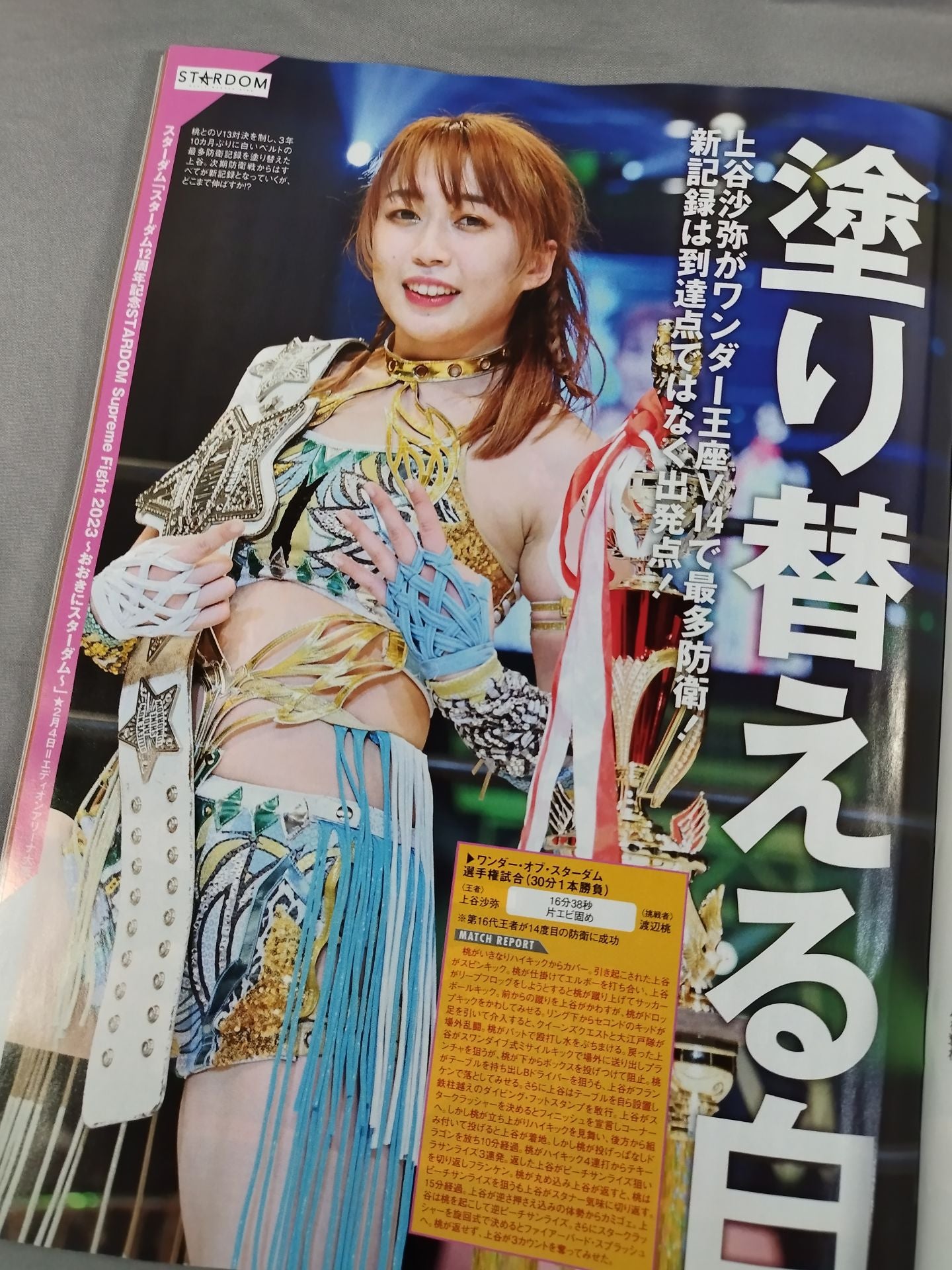 Weekly Pro Wrestling 2229