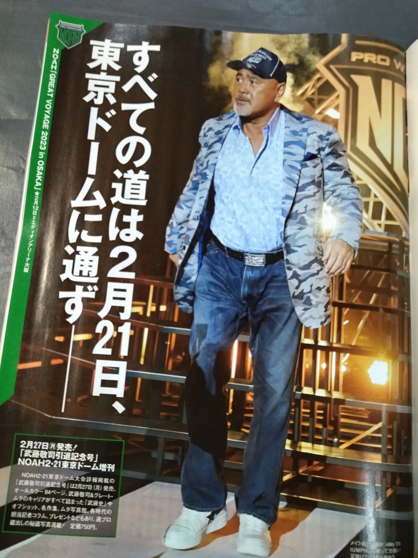 Weekly Pro Wrestling 2230