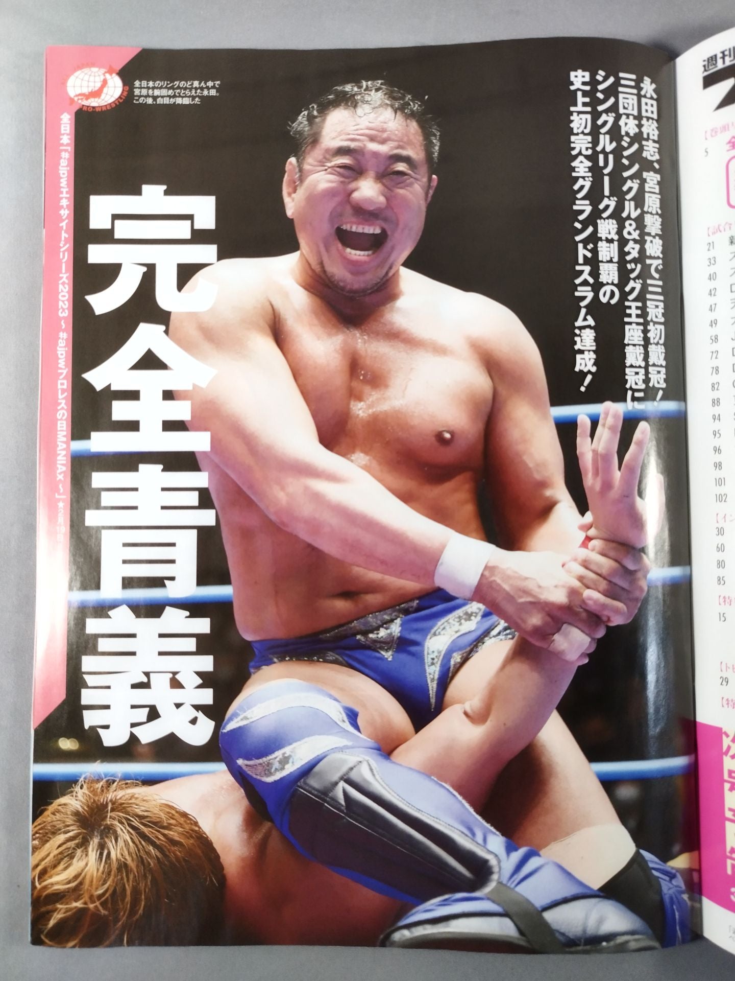 週刊プロレス2231