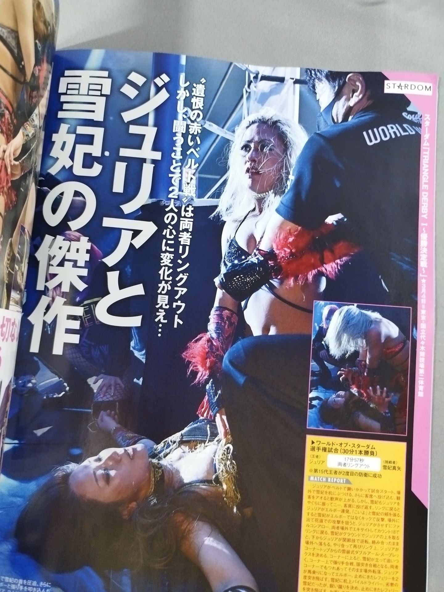 週刊プロレス2234