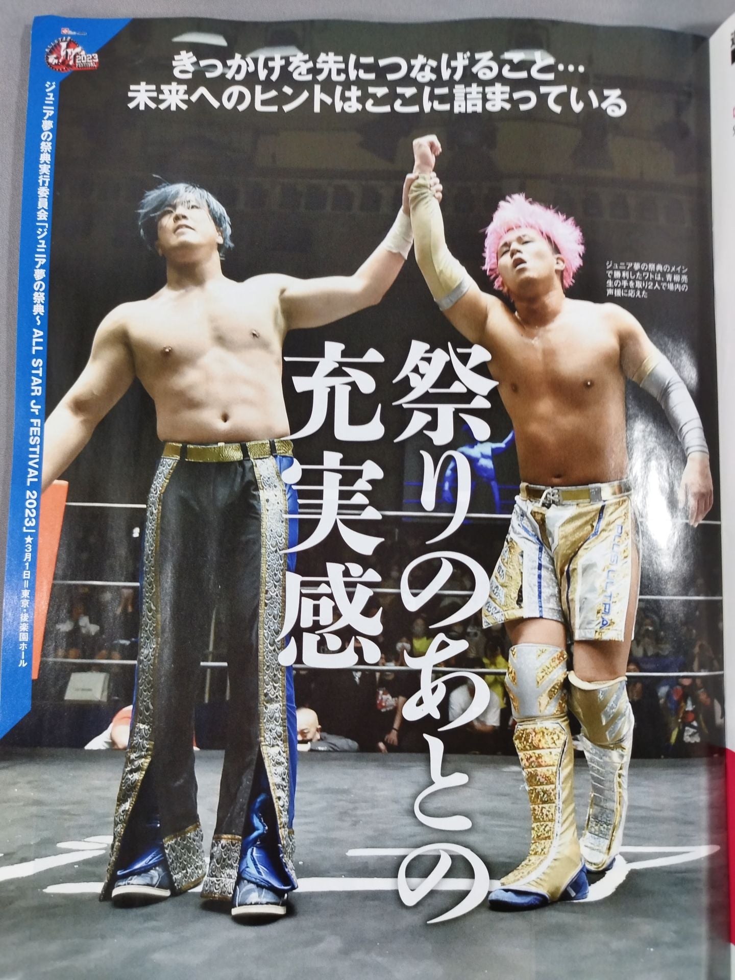 週刊プロレス2234