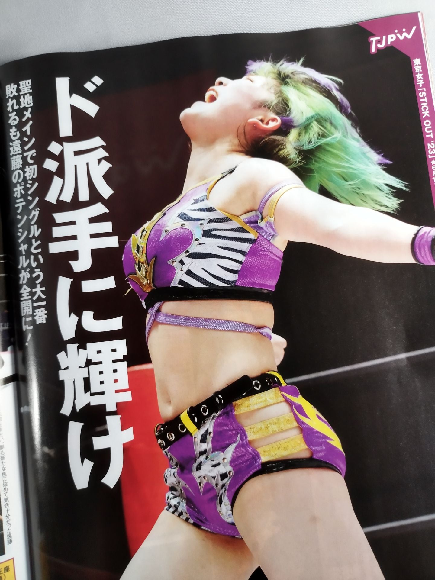 Weekly Pro Wrestling 2249