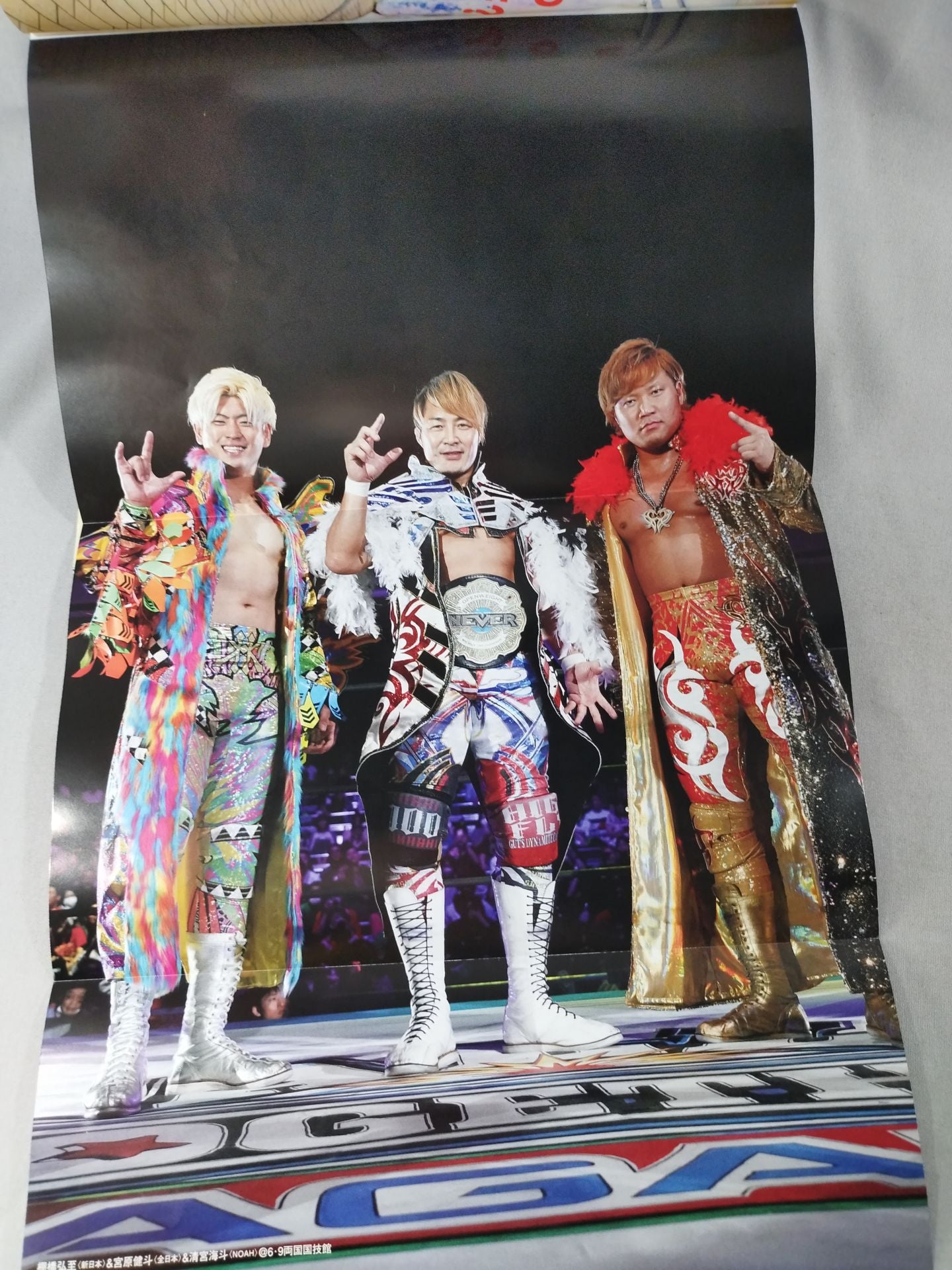 Weekly Pro Wrestling 2251