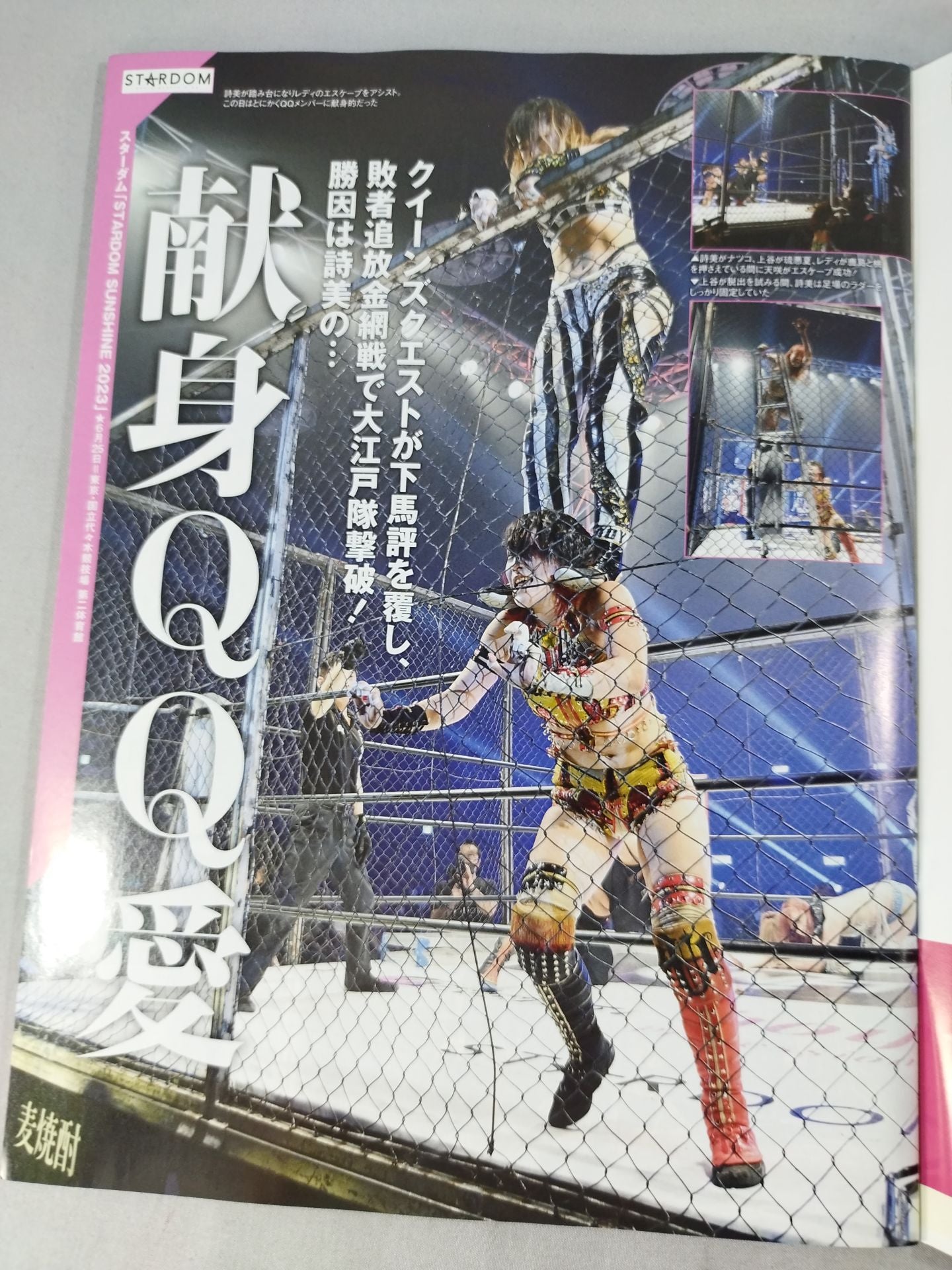 Weekly Pro Wrestling 2251