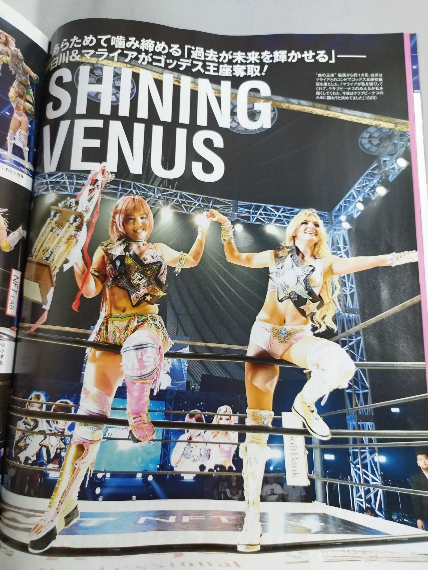 Weekly Pro Wrestling 2251