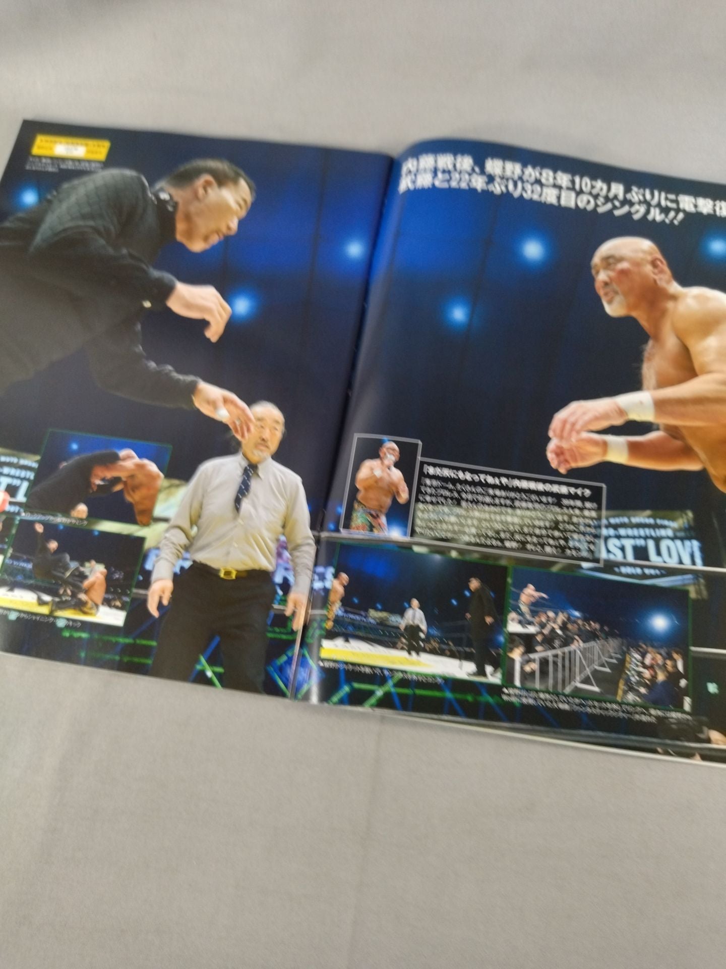 Weekly Pro Wrestling 2232