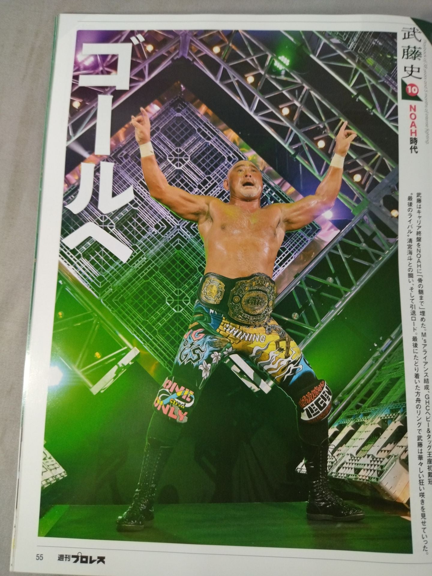 Weekly Pro Wrestling 2232