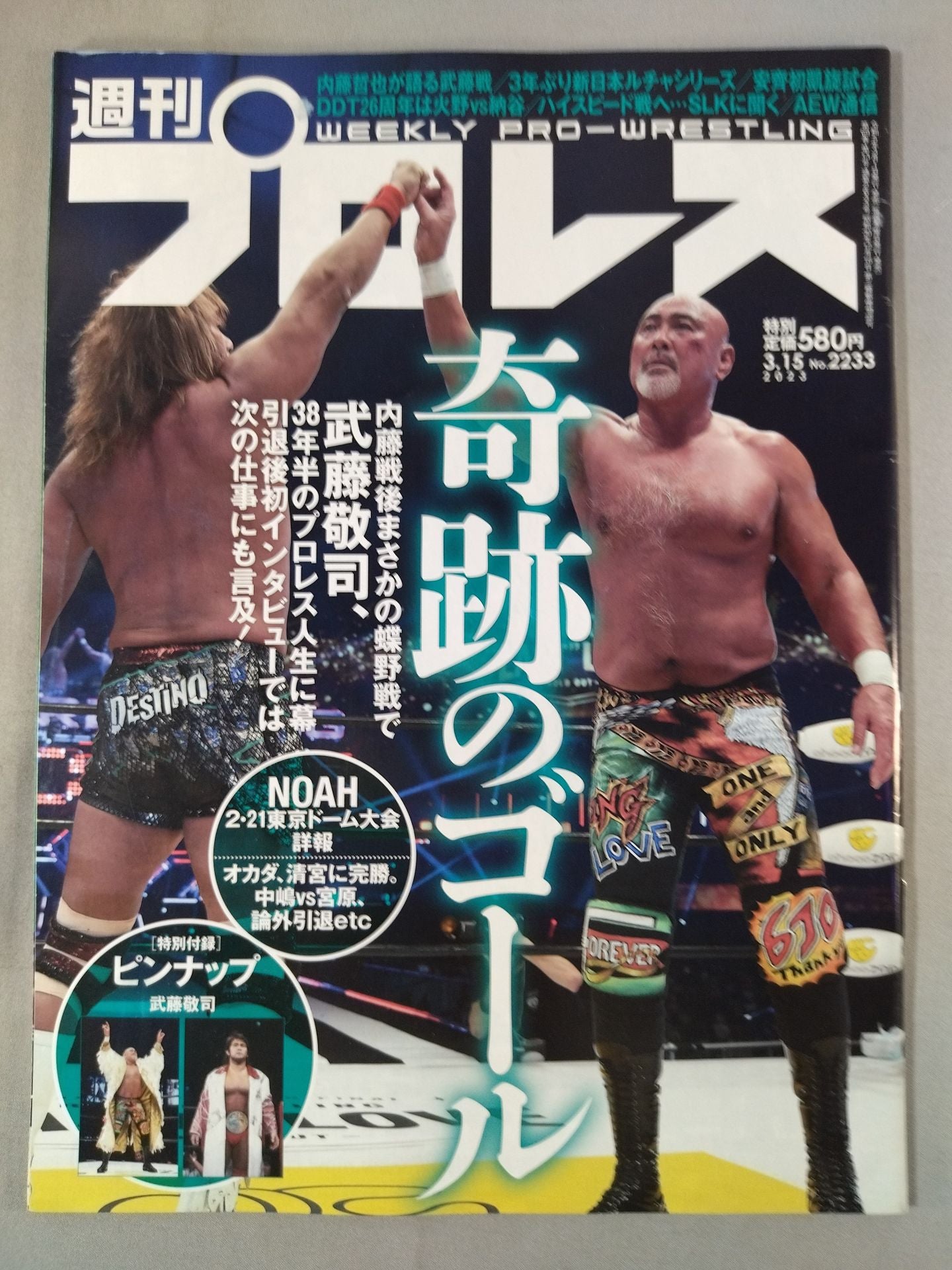 Weekly Pro Wrestling 2233