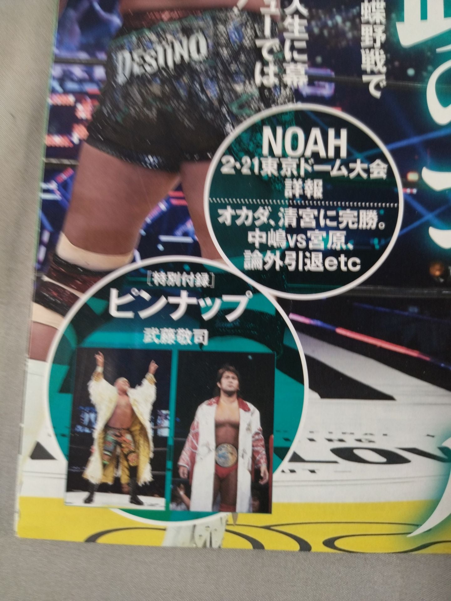 Weekly Pro Wrestling 2233