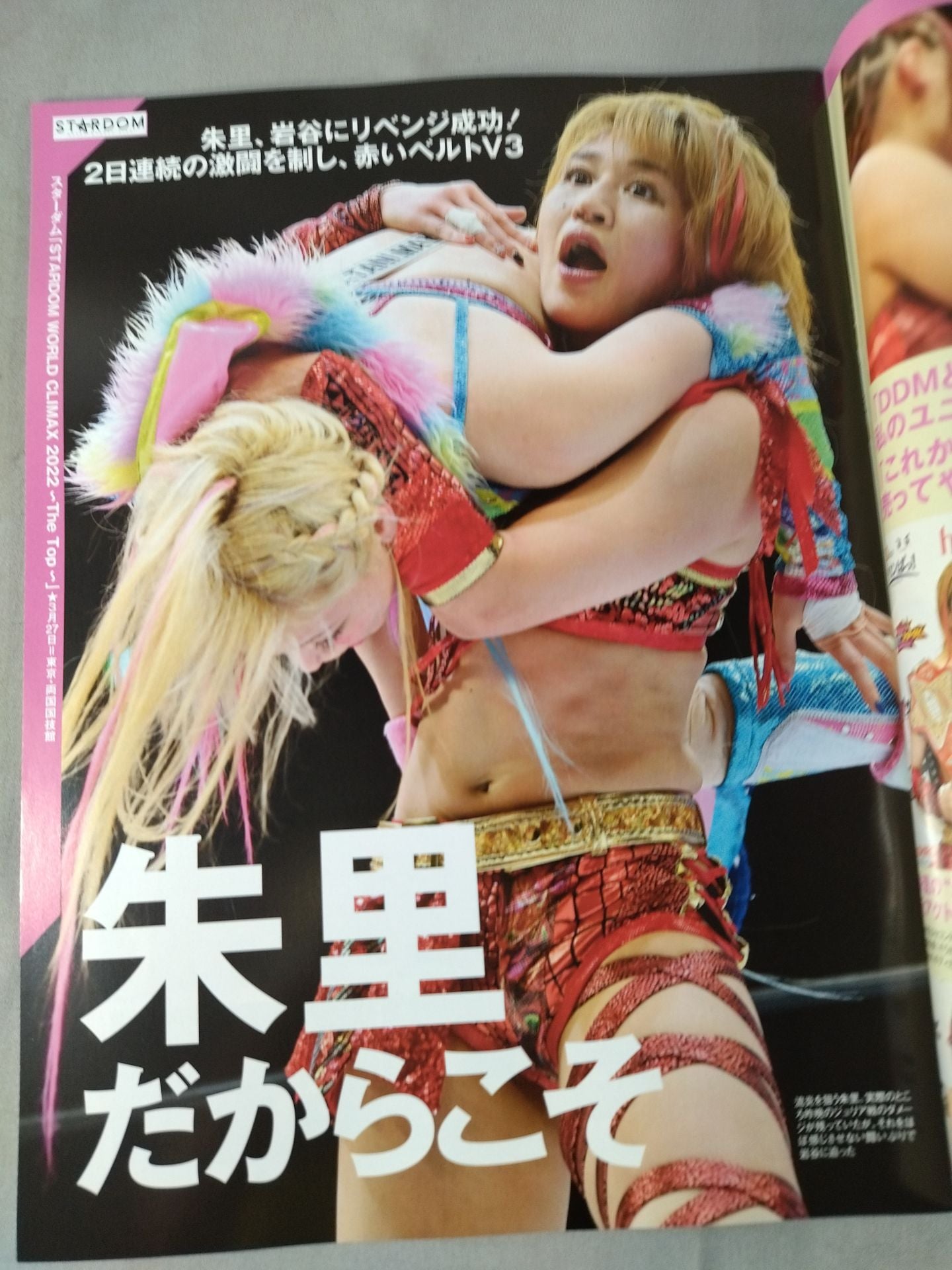 週刊プロレス2174