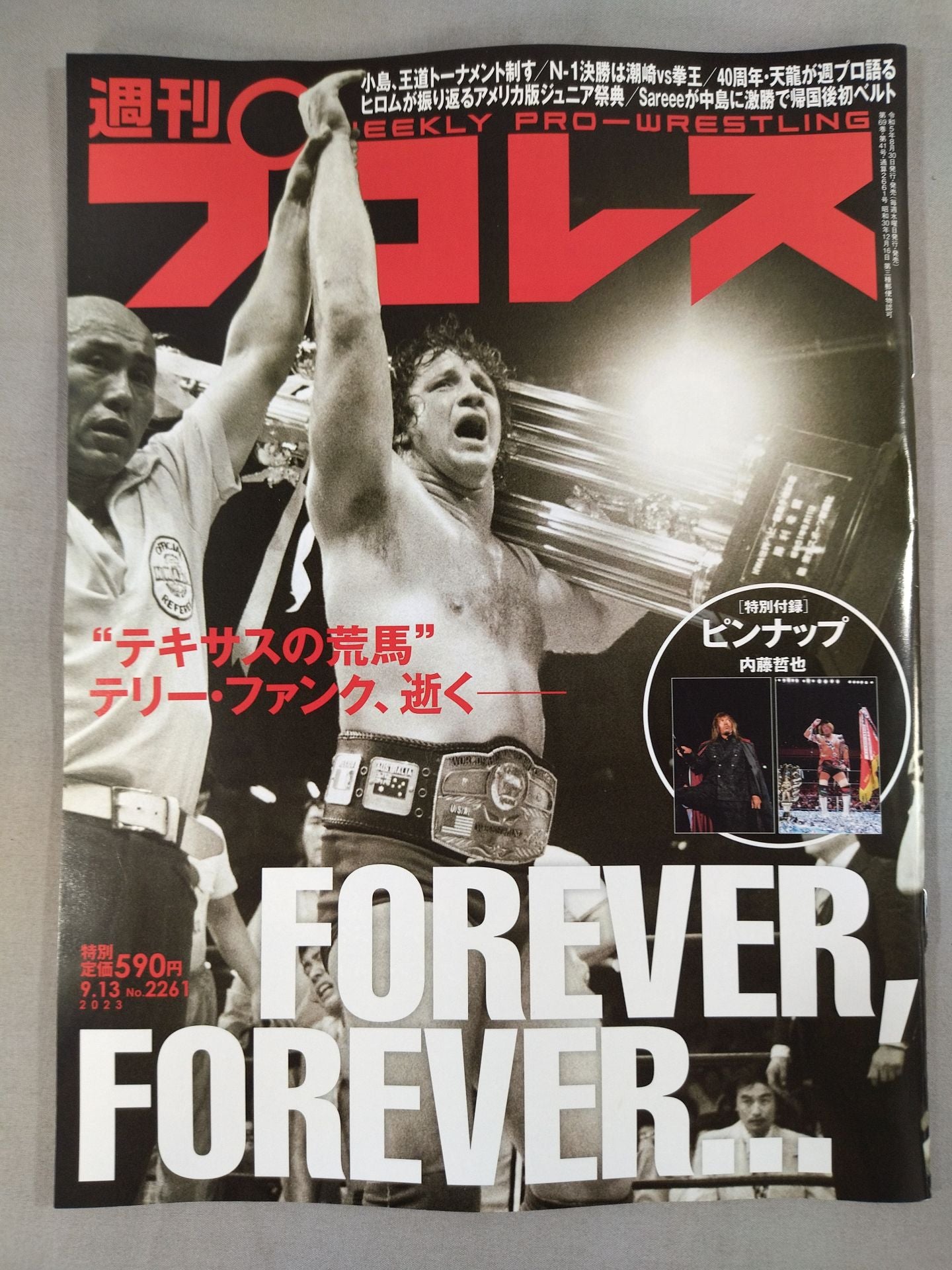 週刊プロレス2261 – 闘道館