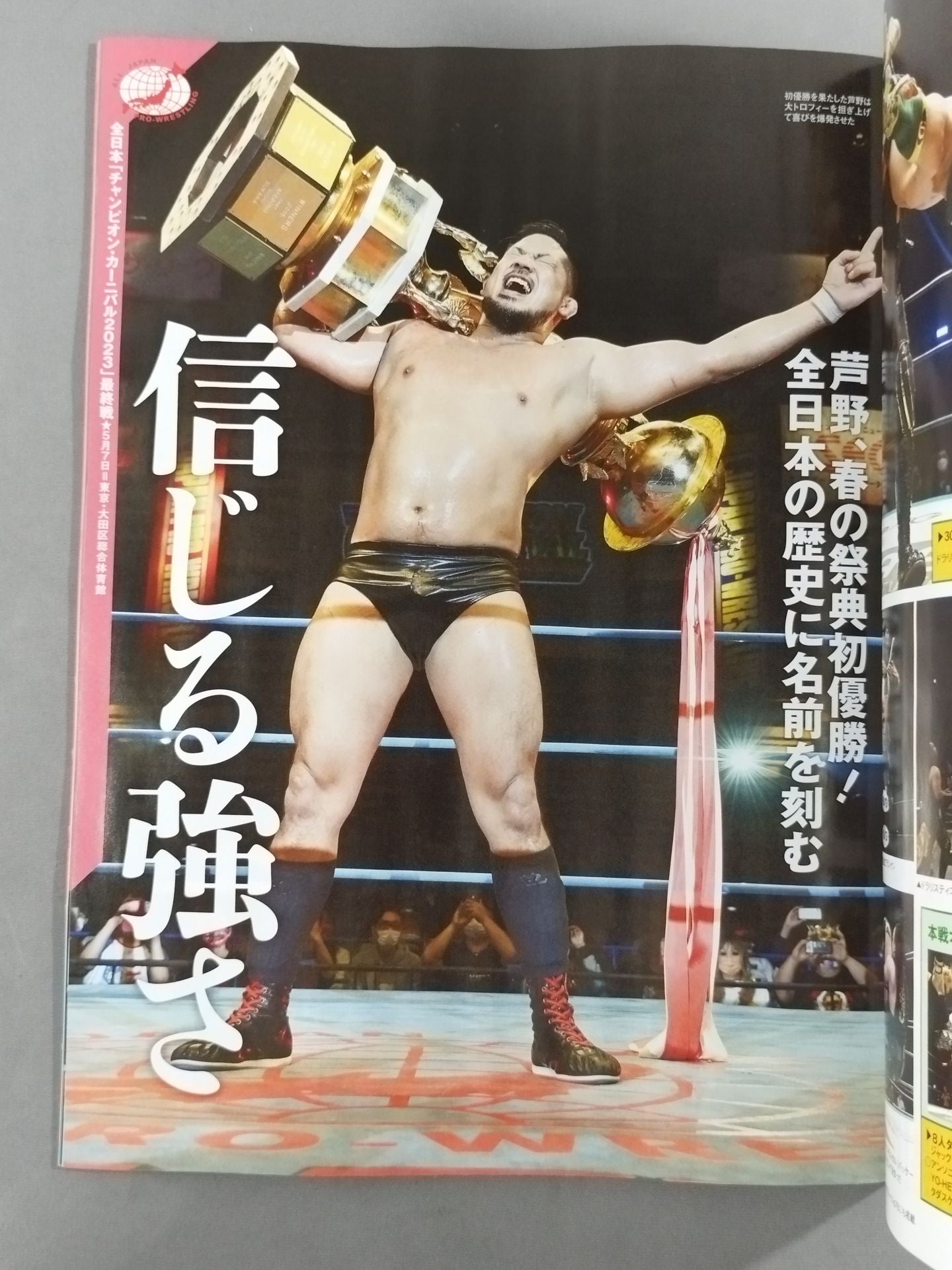 Weekly Pro Wrestling 2244