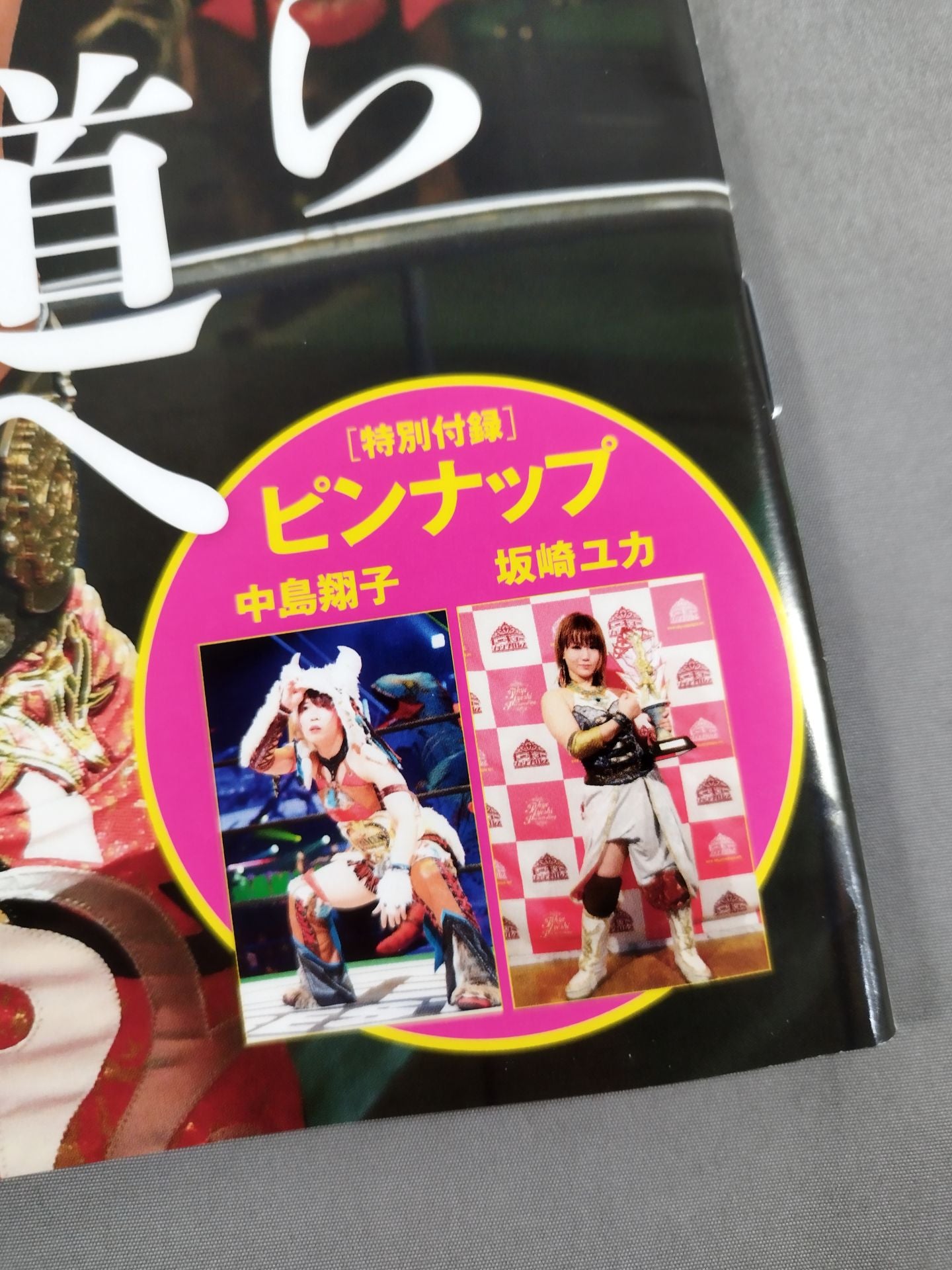 週刊プロレス2204