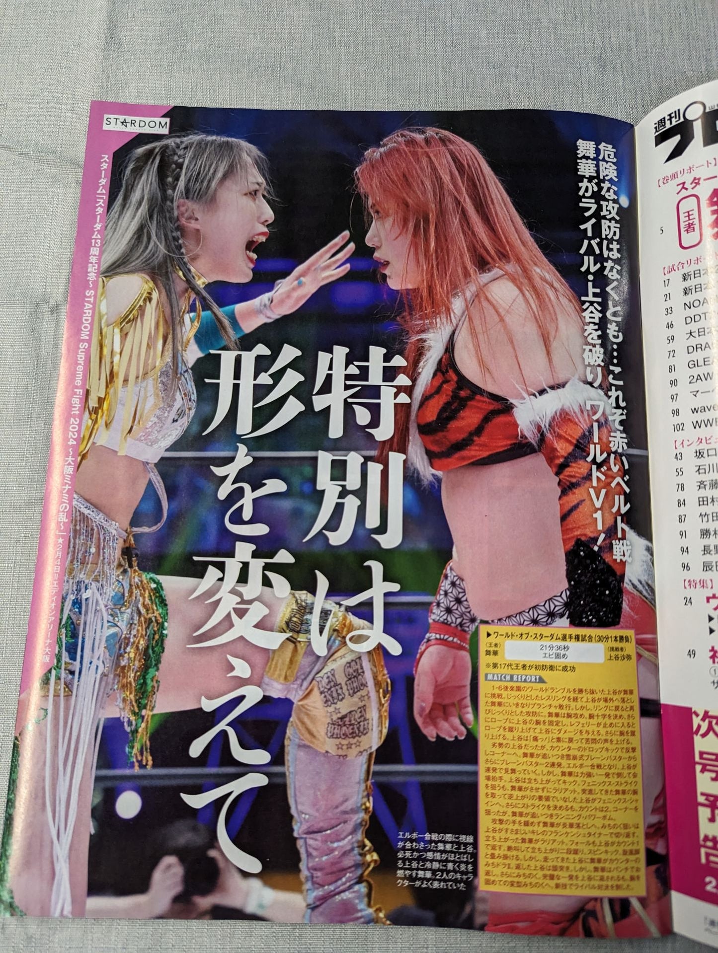 Weekly Pro Wrestling 2287