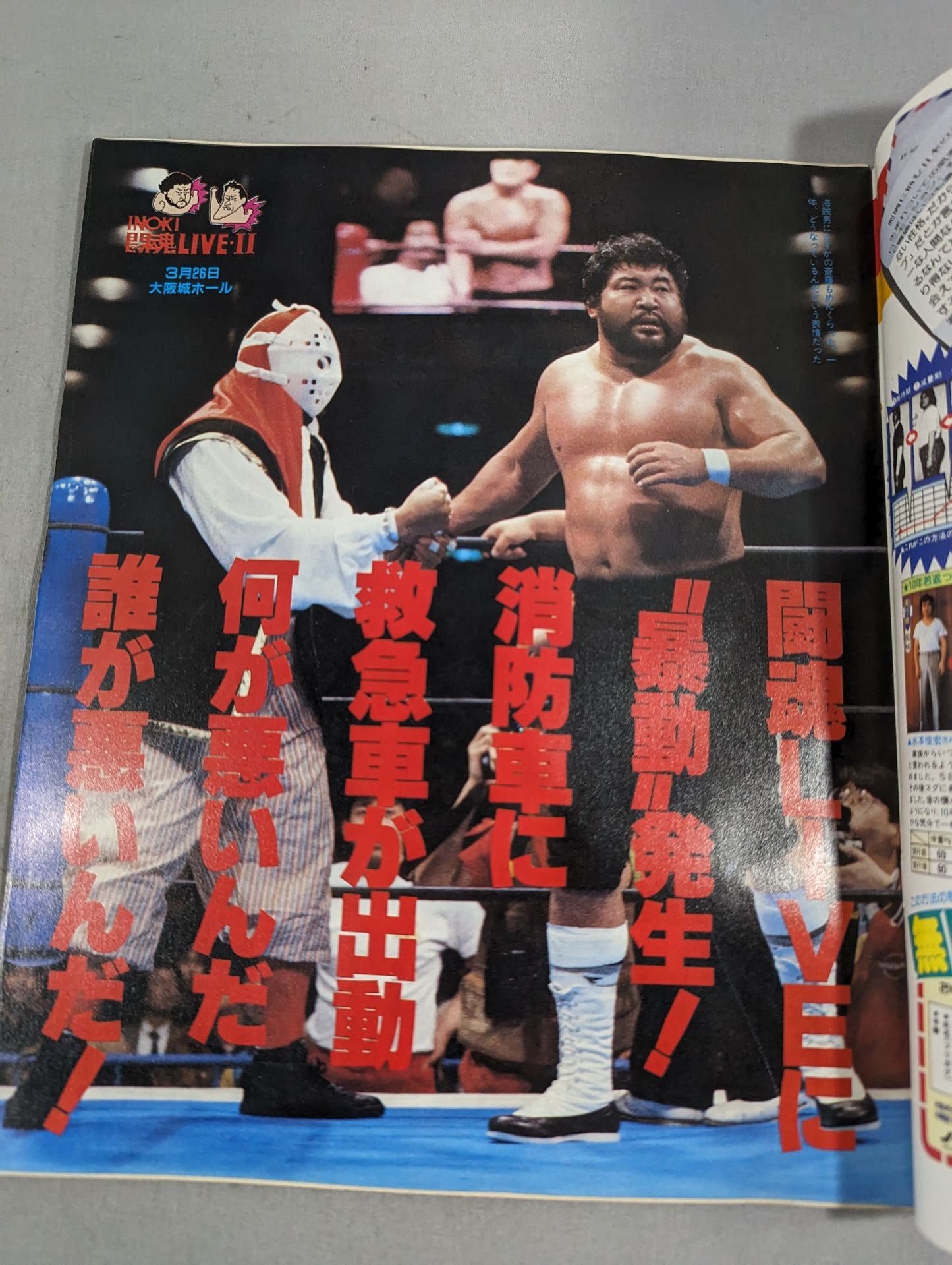 Weekly Pro Wrestling 197