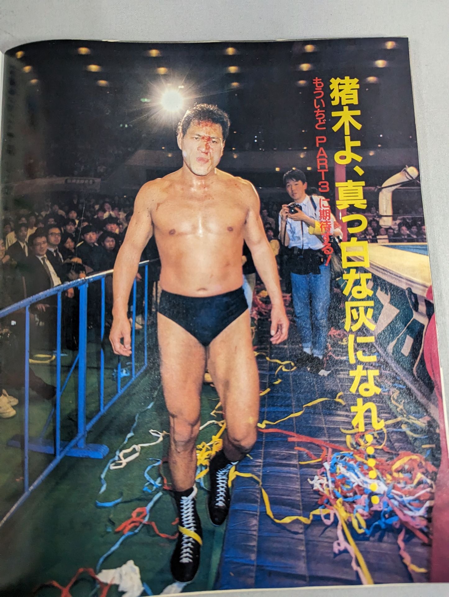 Weekly Pro Wrestling 197