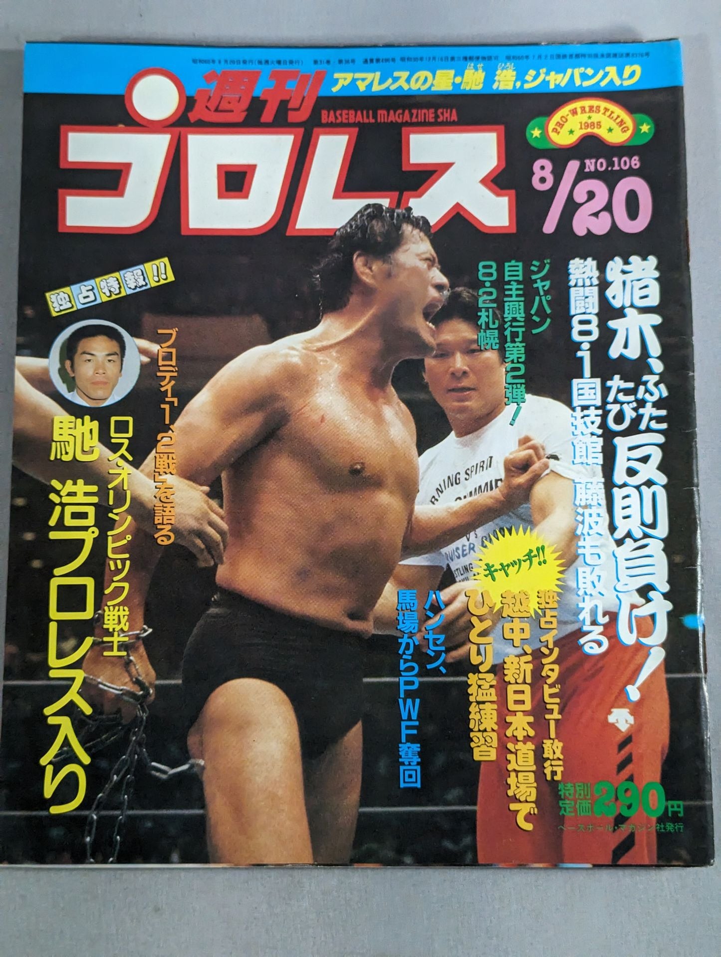 Weekly Pro Wrestling 106