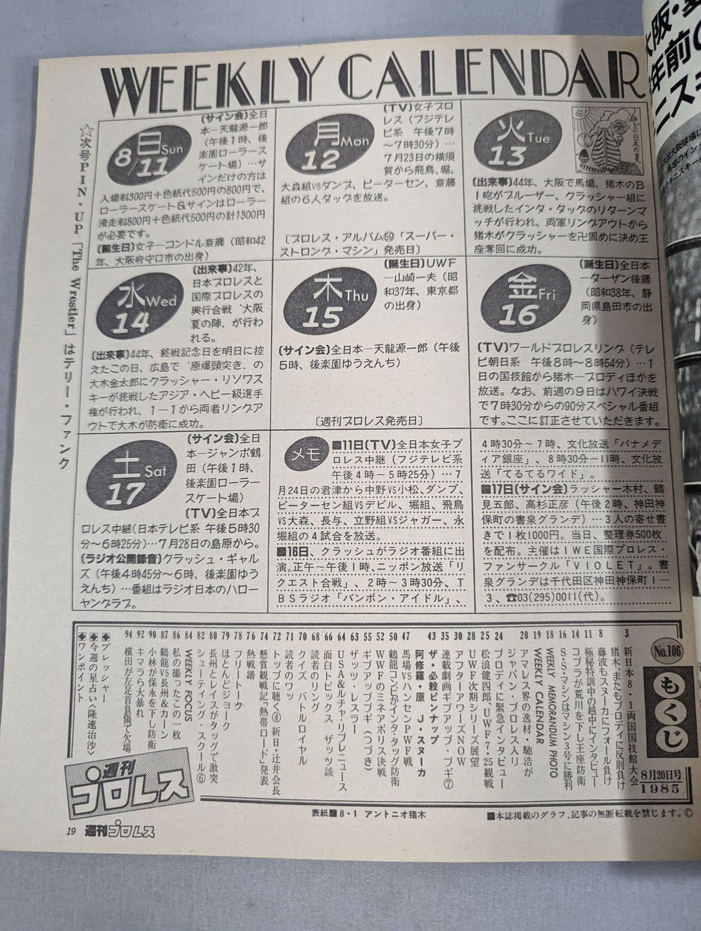 Weekly Pro Wrestling 106