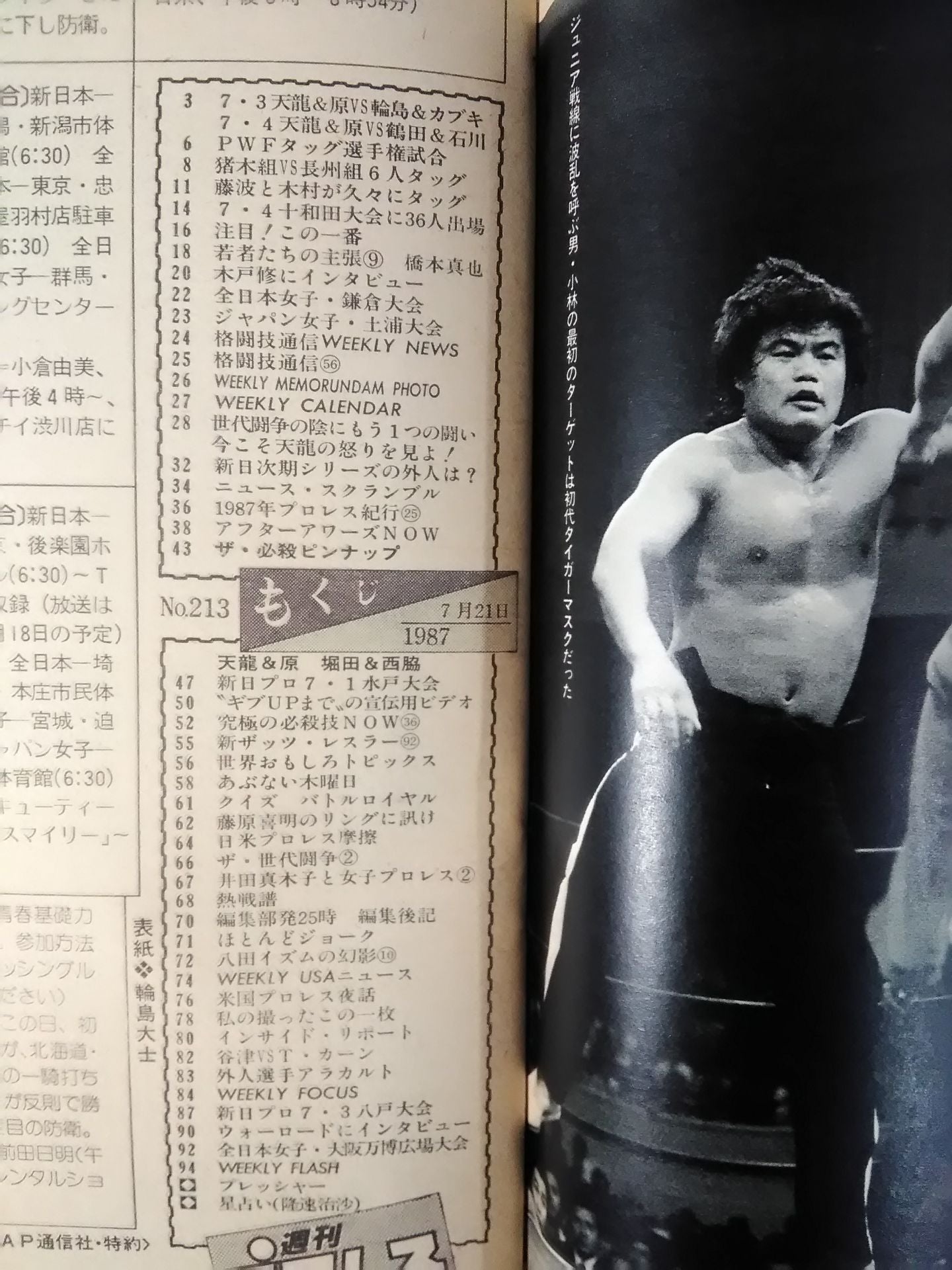Weekly Pro Wrestling 213