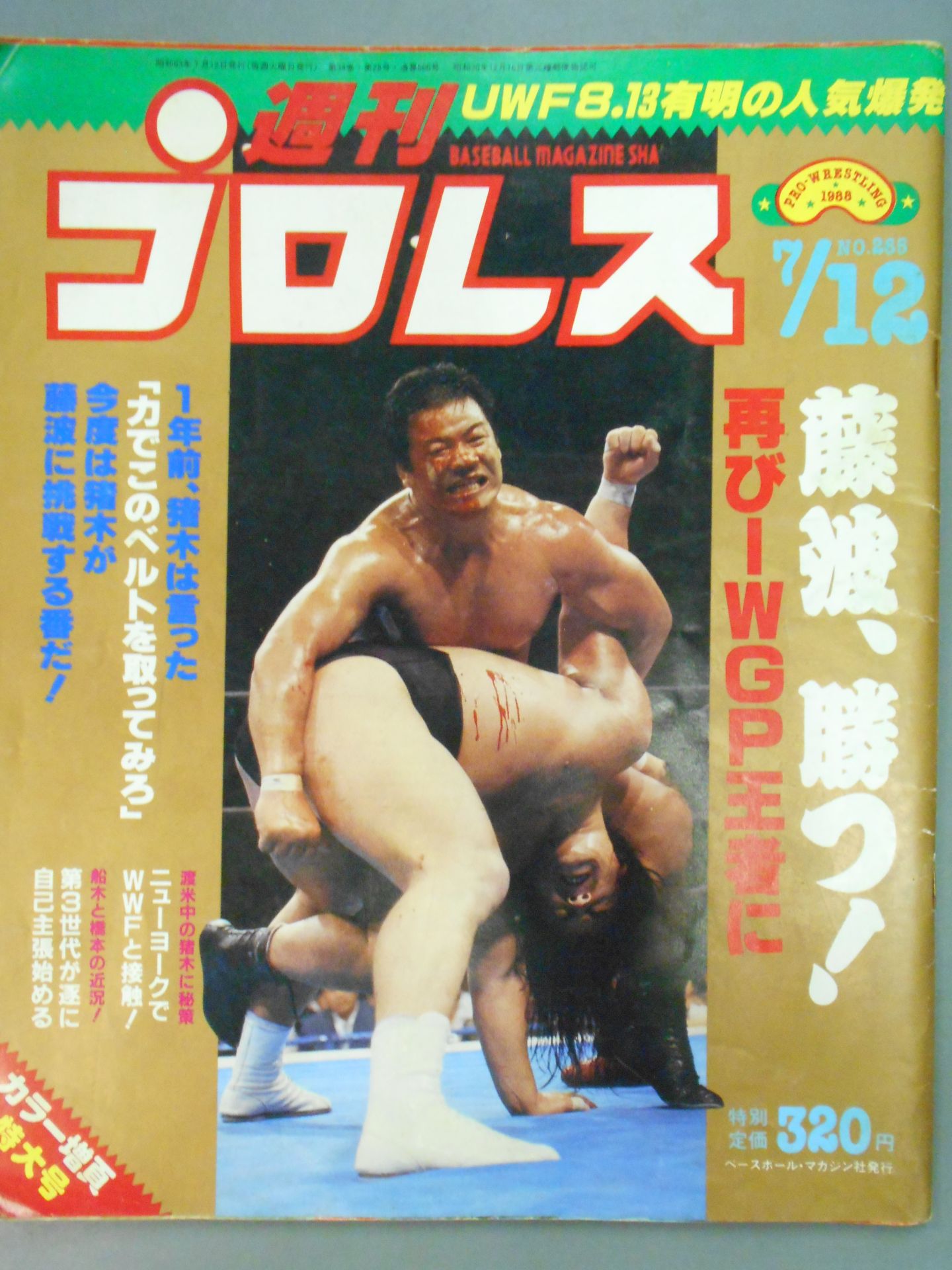 Weekly Pro Wrestling 265
