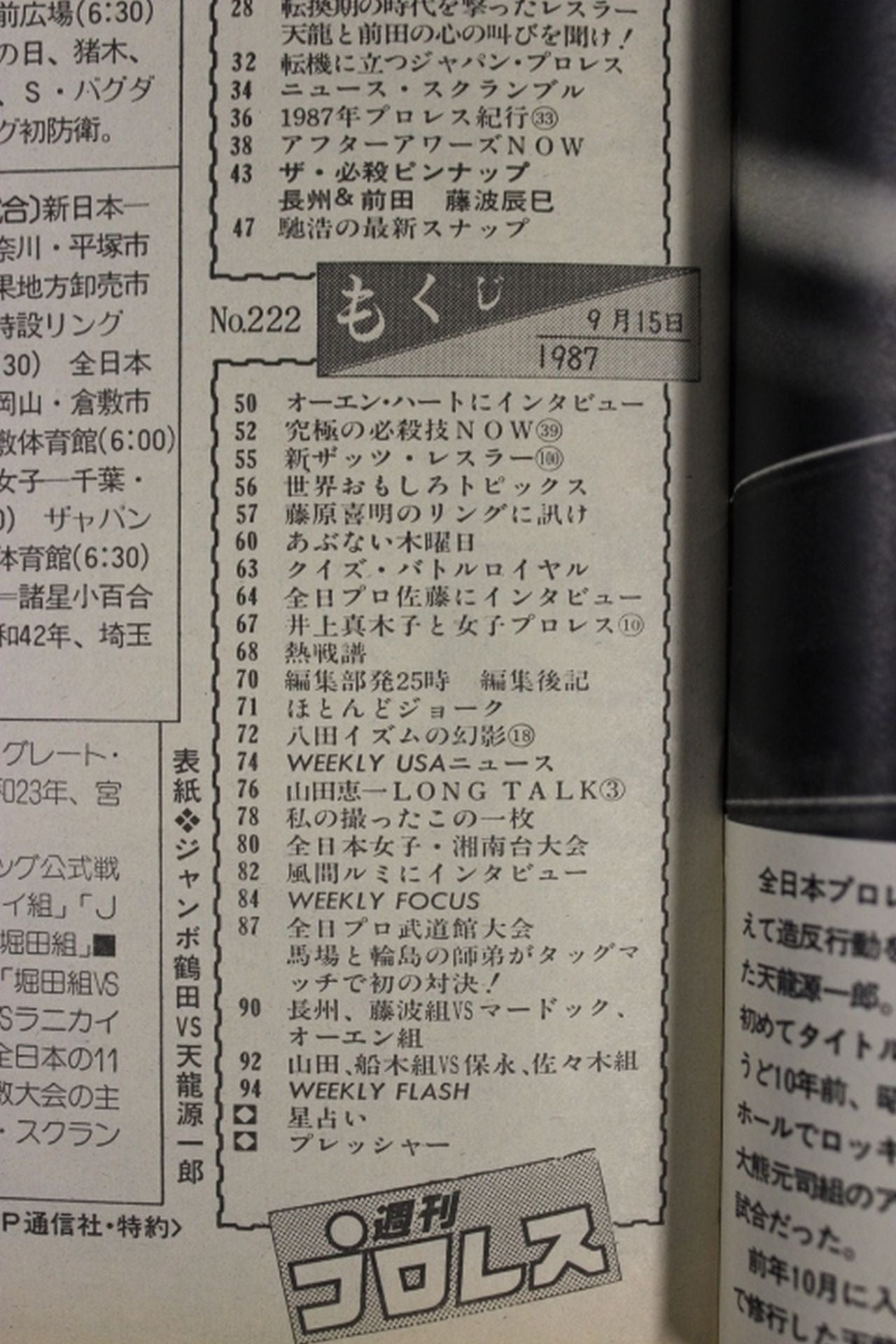 Weekly Pro Wrestling 222