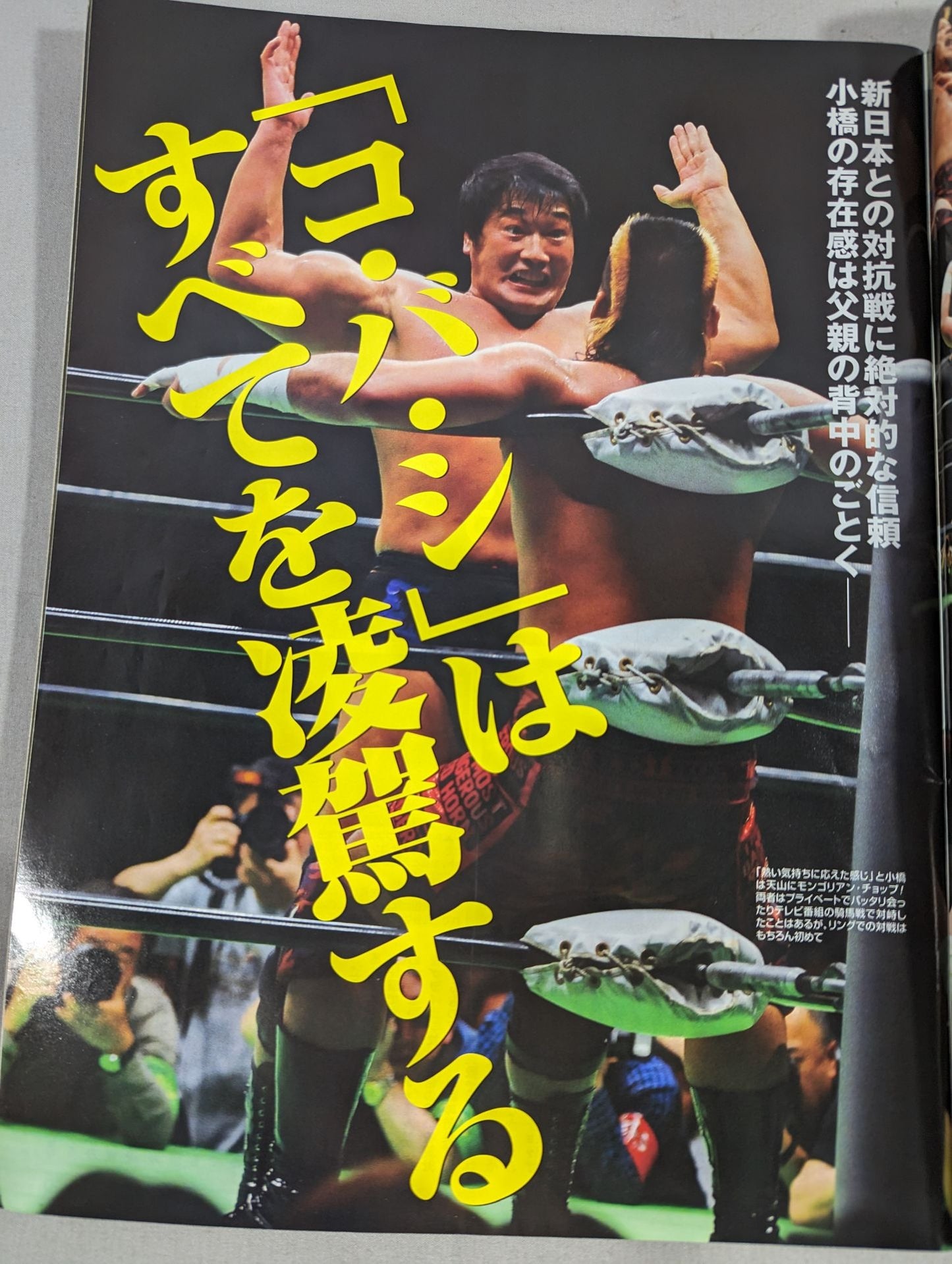 Weekly Pro Wrestling 1473
