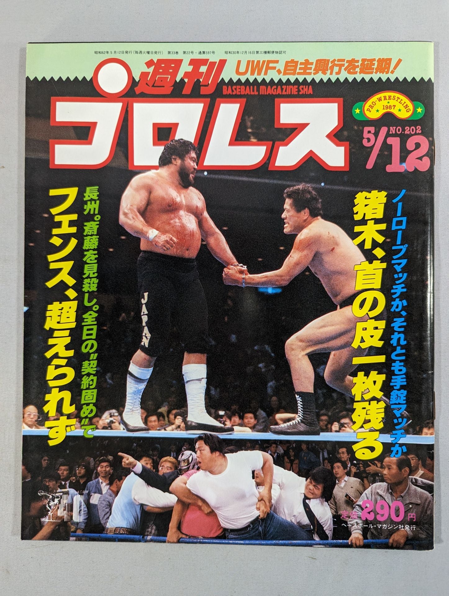 週刊プロレス202 – 闘道館