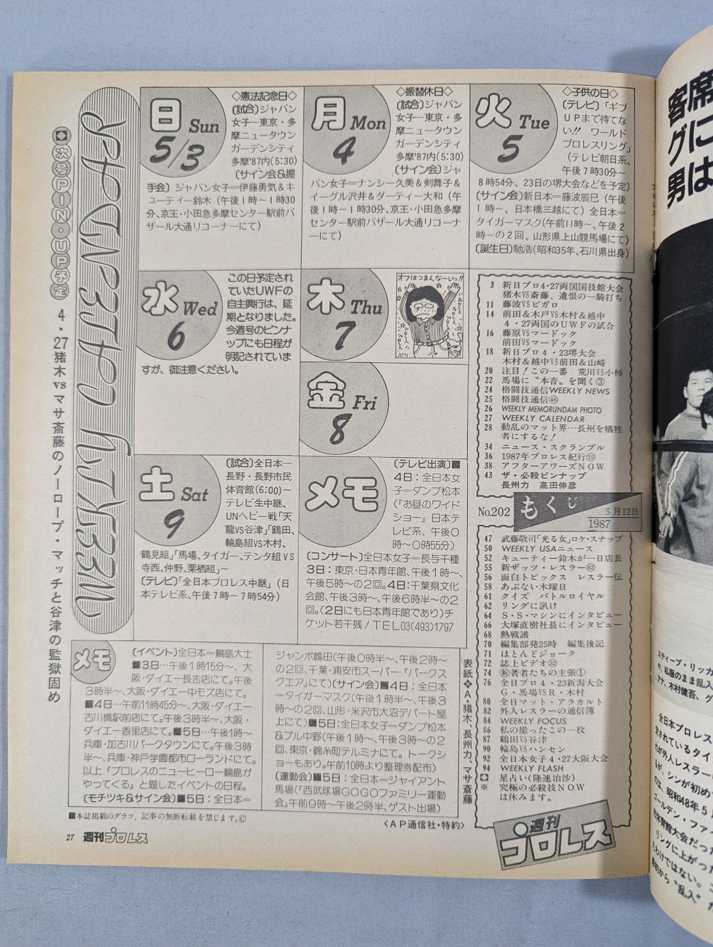 Weekly Pro Wrestling 202