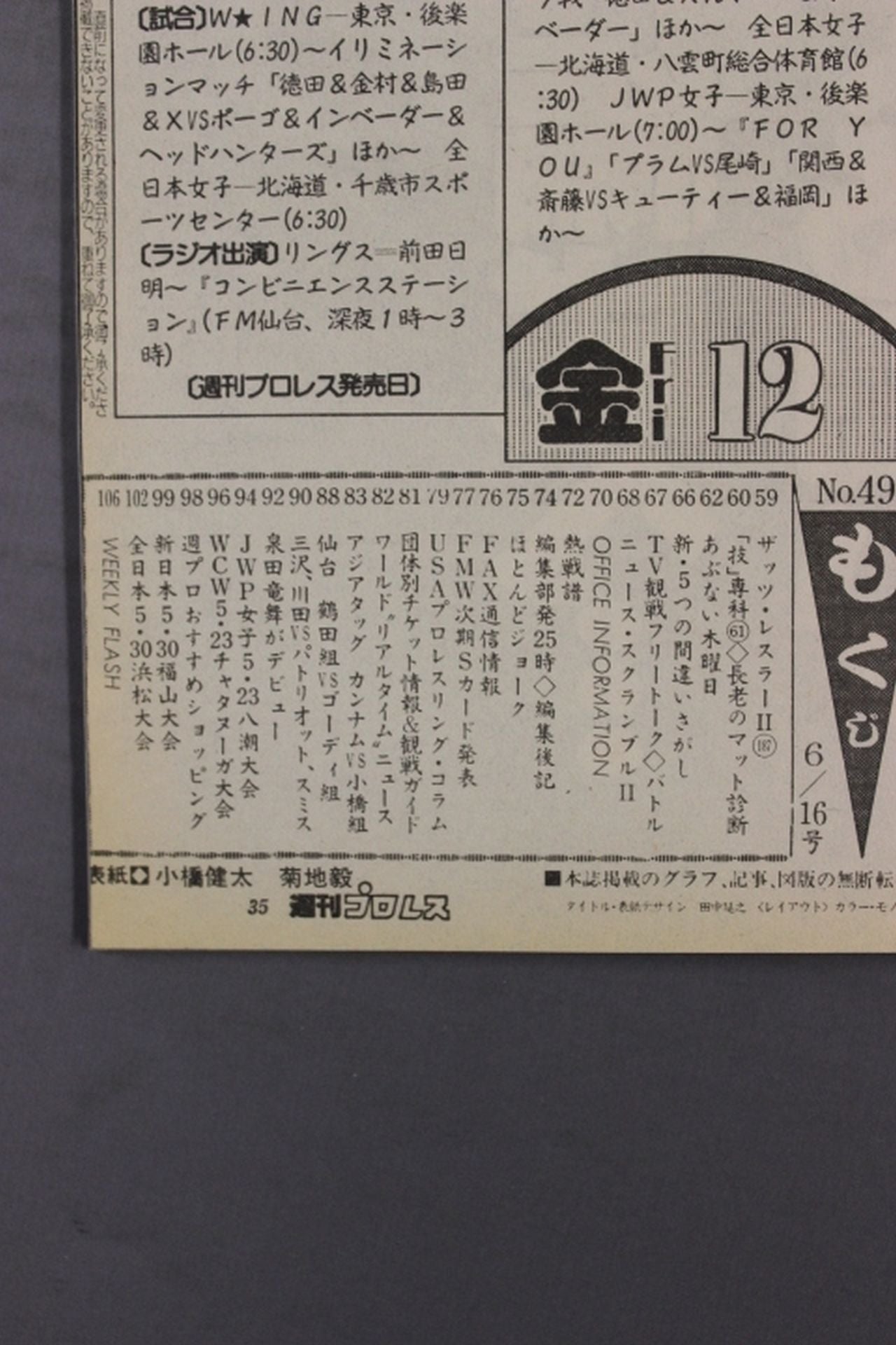 Weekly Pro Wrestling 498