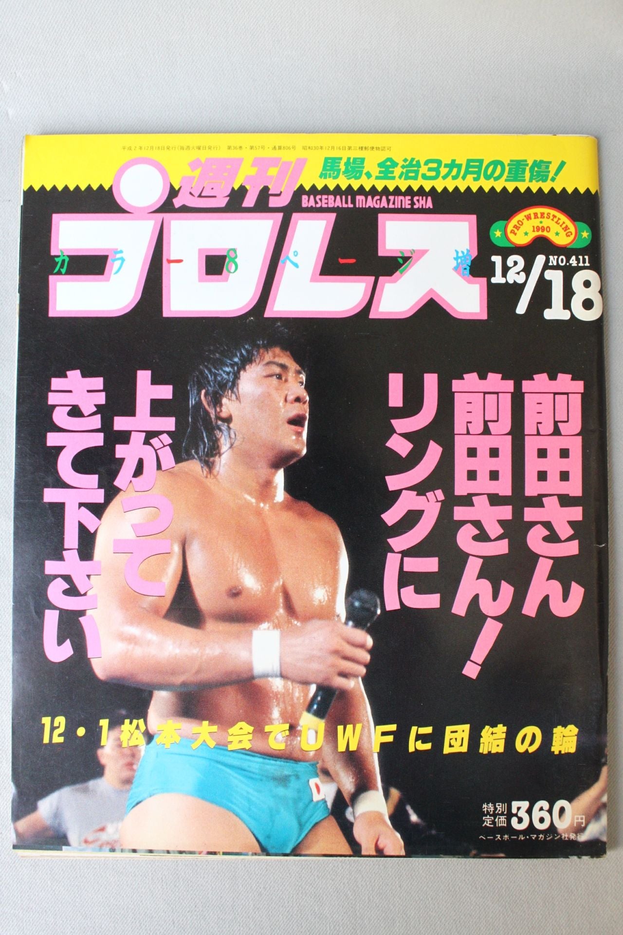 Weekly Pro Wrestling 411