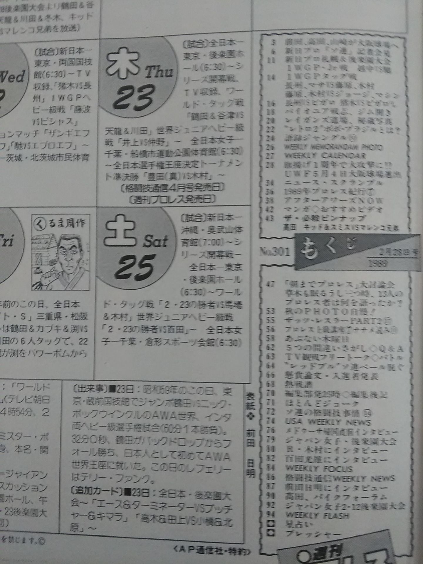 Weekly Pro Wrestling 301