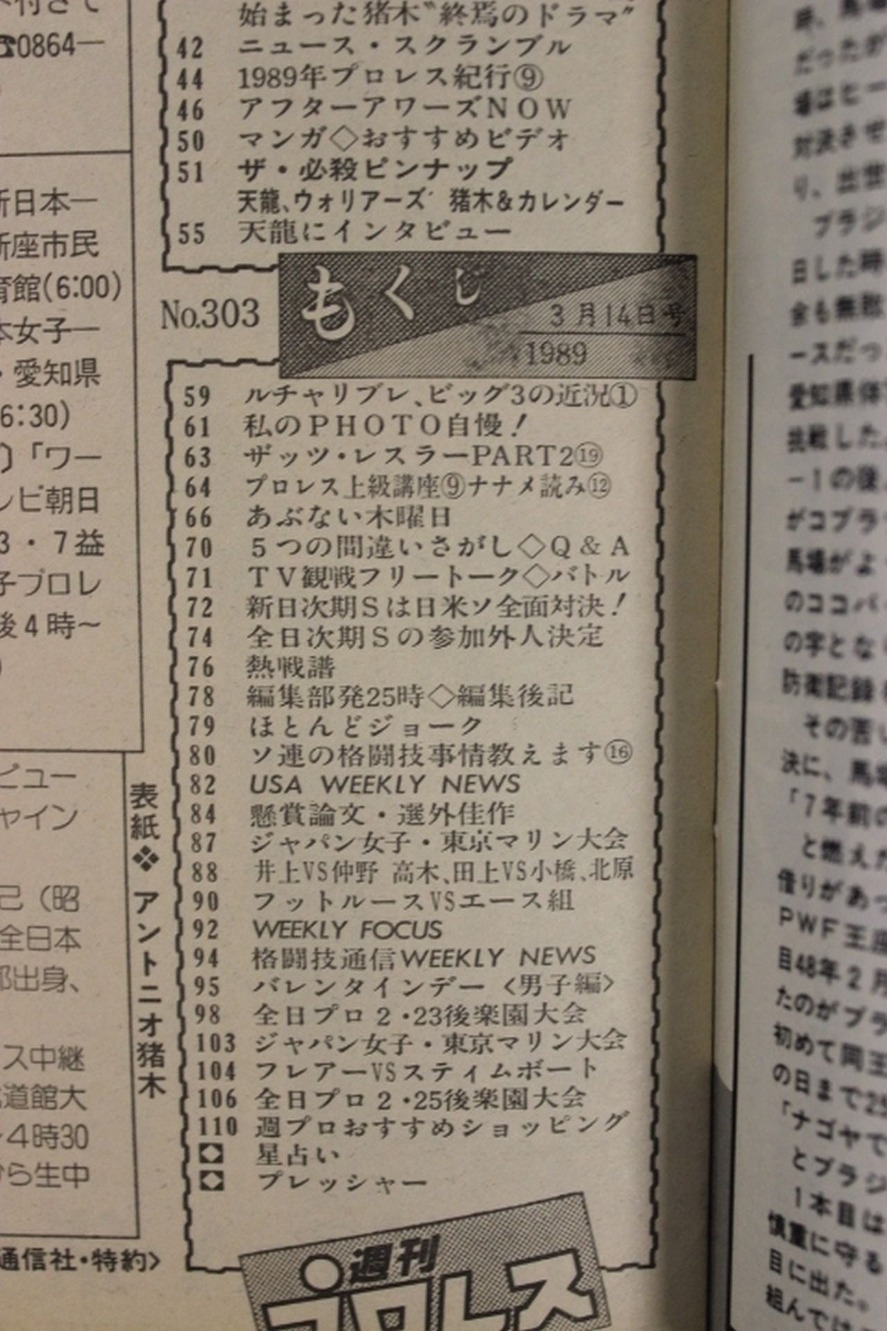 Weekly Pro Wrestling 303