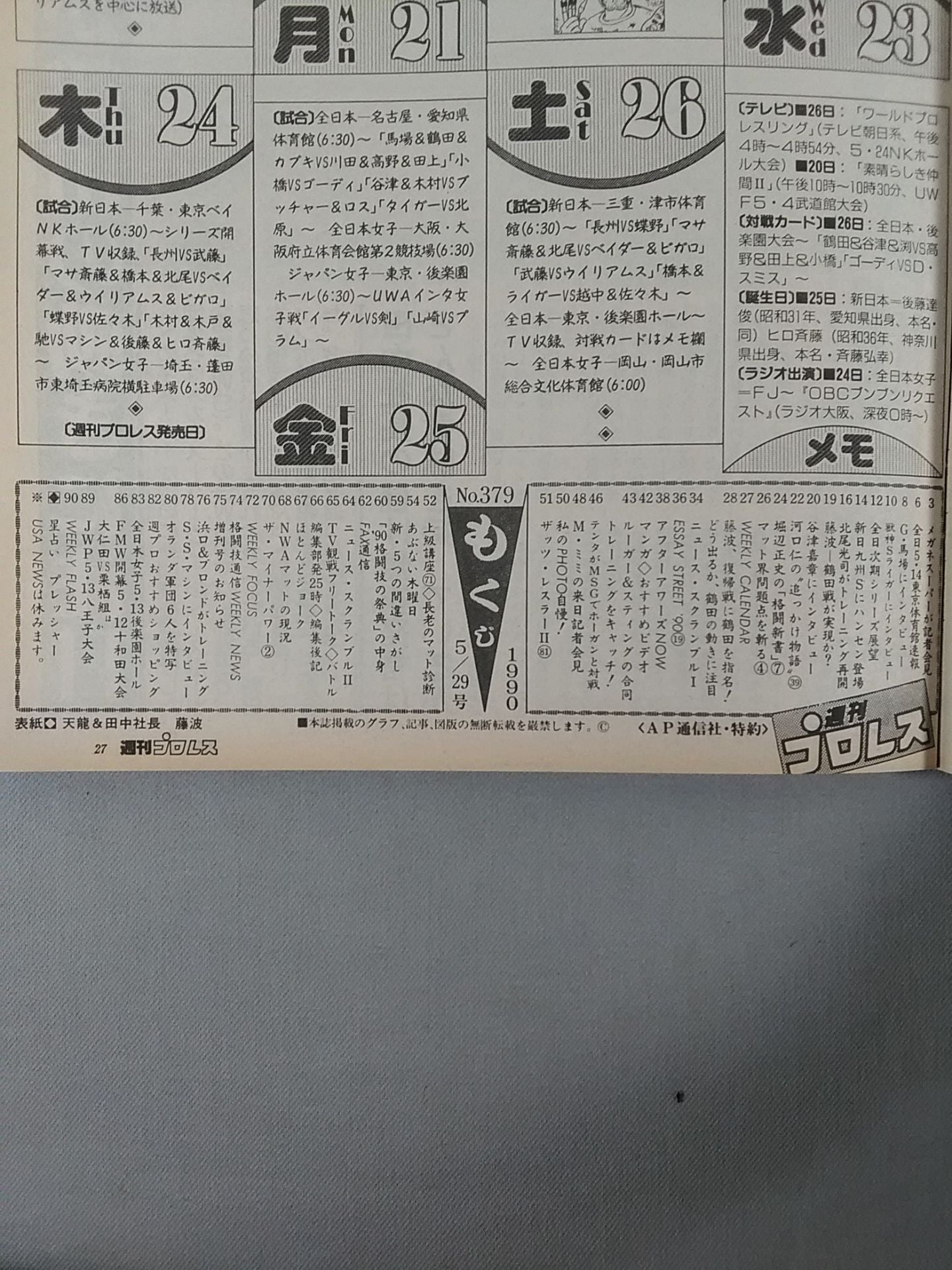 Weekly Pro Wrestling 379