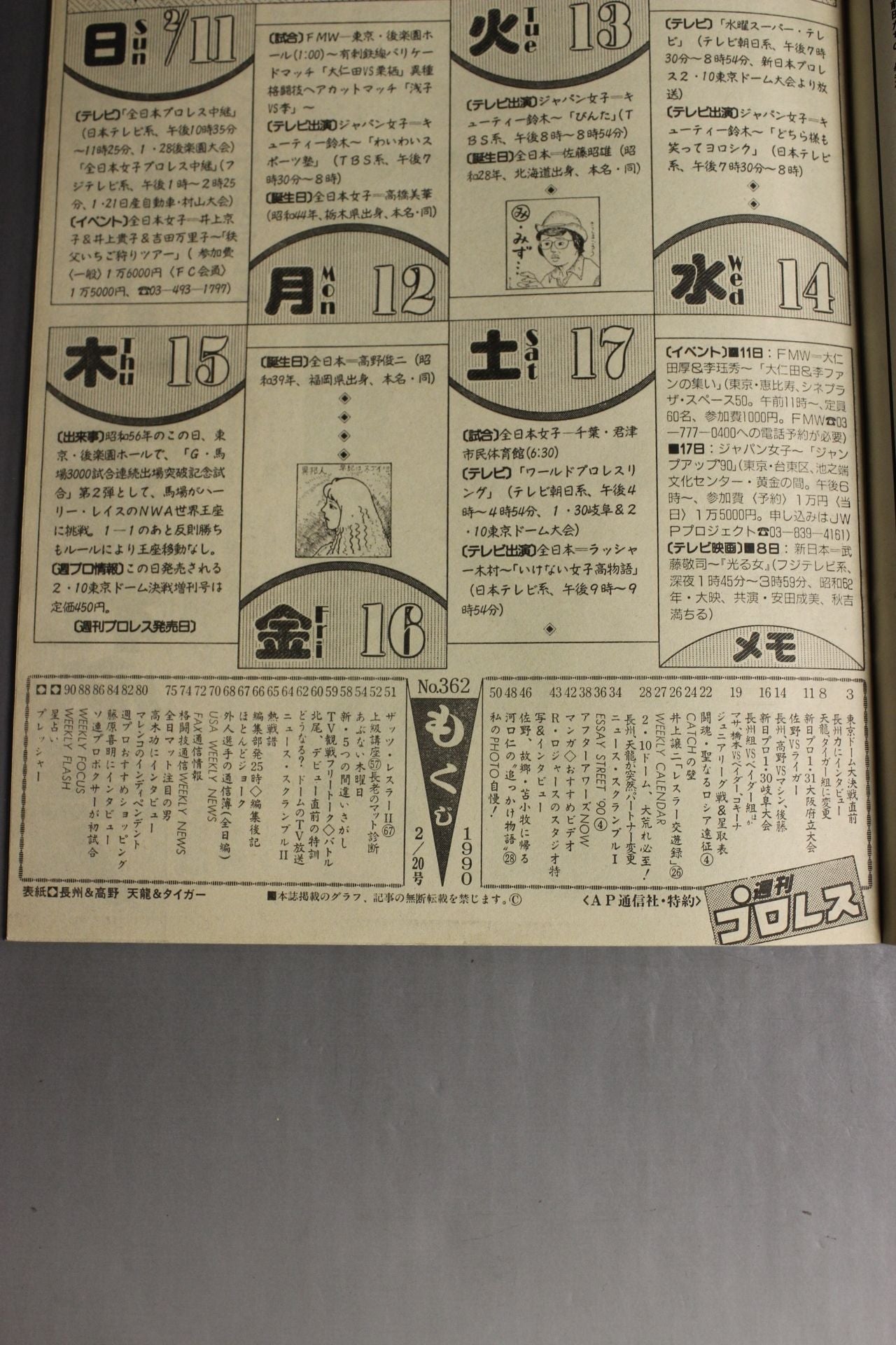 Weekly Pro Wrestling 362