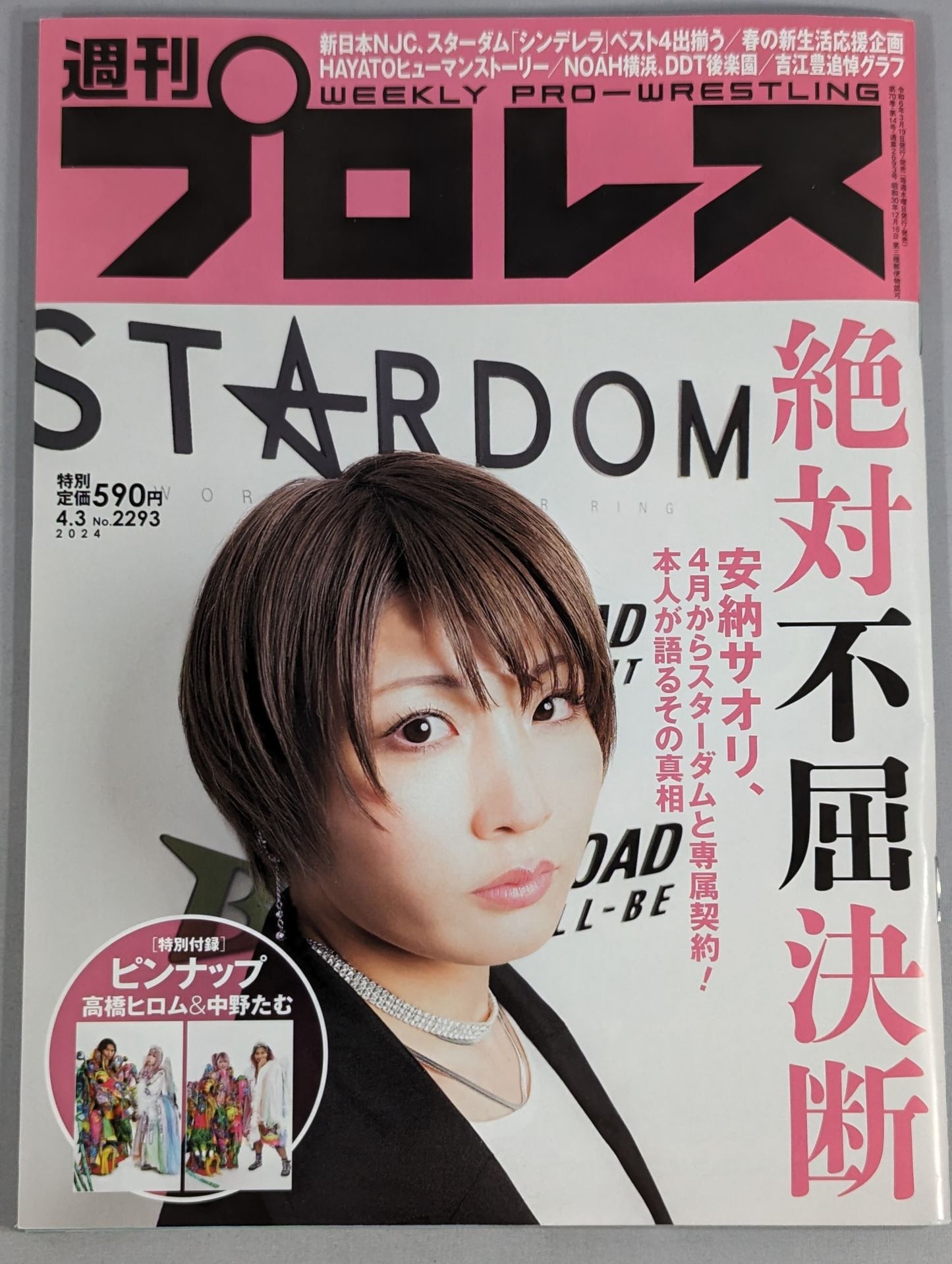 Weekly Pro Wrestling 2293