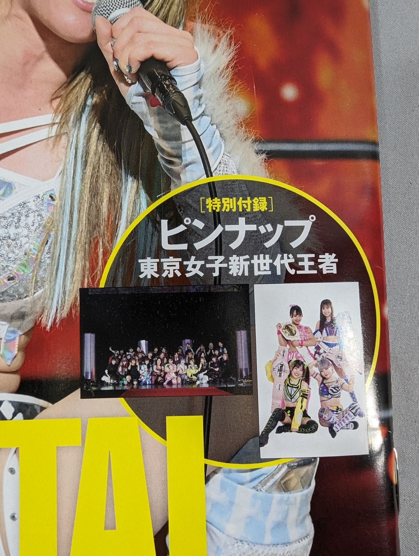週刊プロレス2299