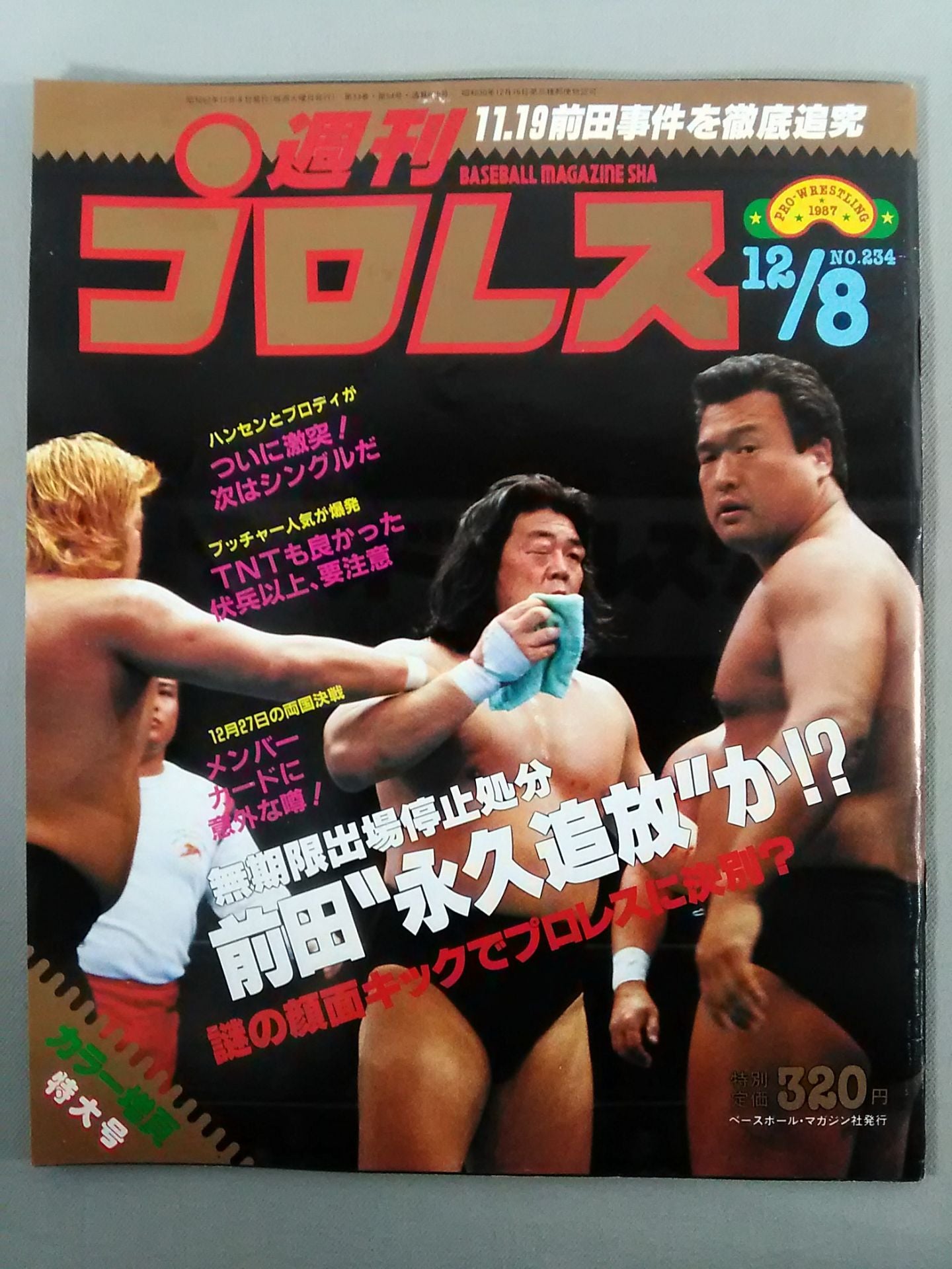 Weekly Pro Wrestling 234