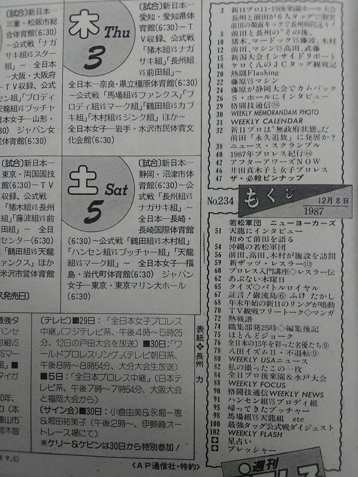 Weekly Pro Wrestling 234