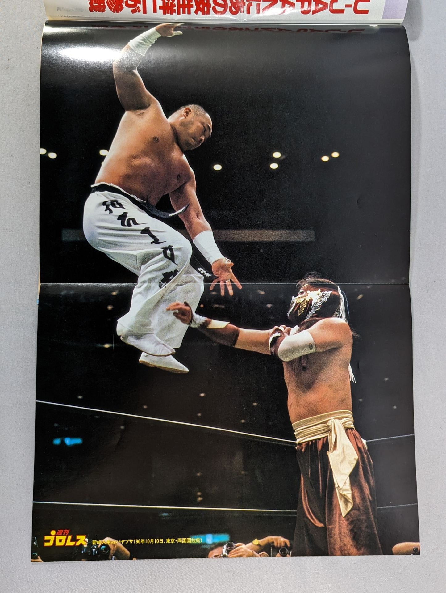 Weekly Pro Wrestling 762