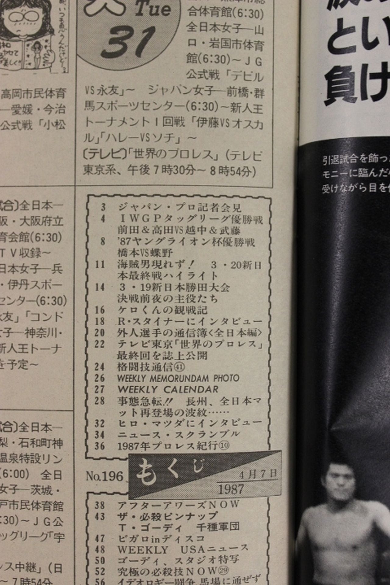 Weekly Pro Wrestling 196
