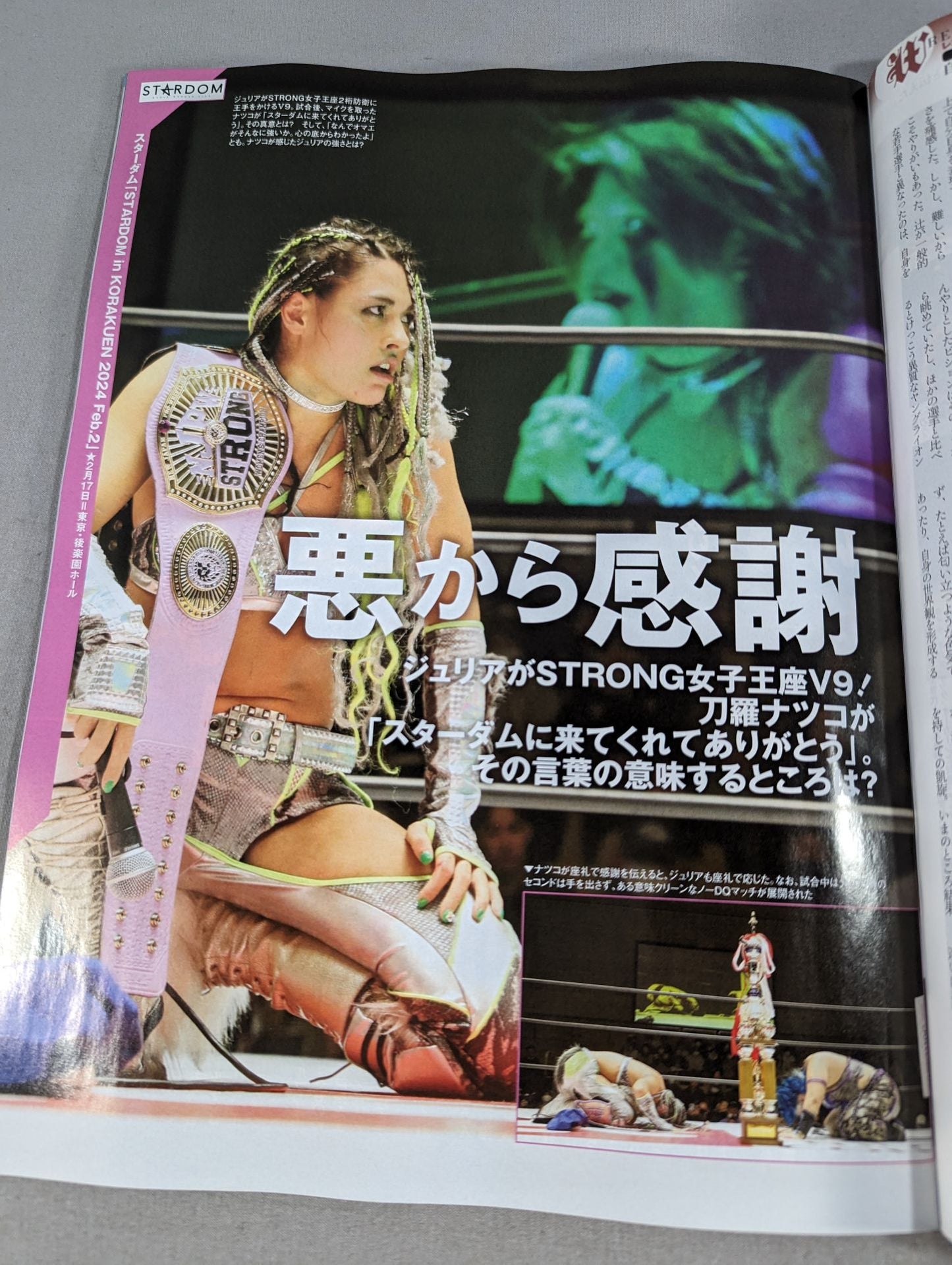 Weekly Pro Wrestling 2289