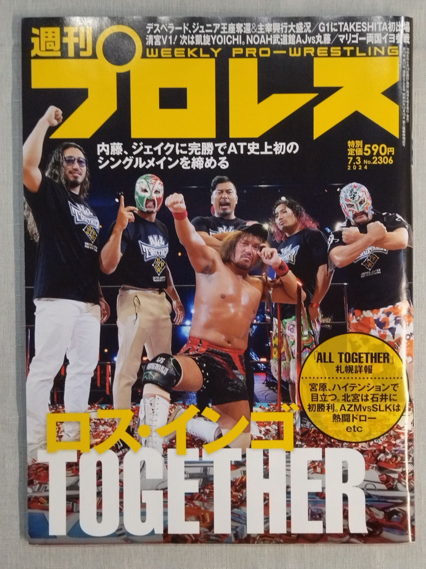 週刊プロレス2306 – 闘道館