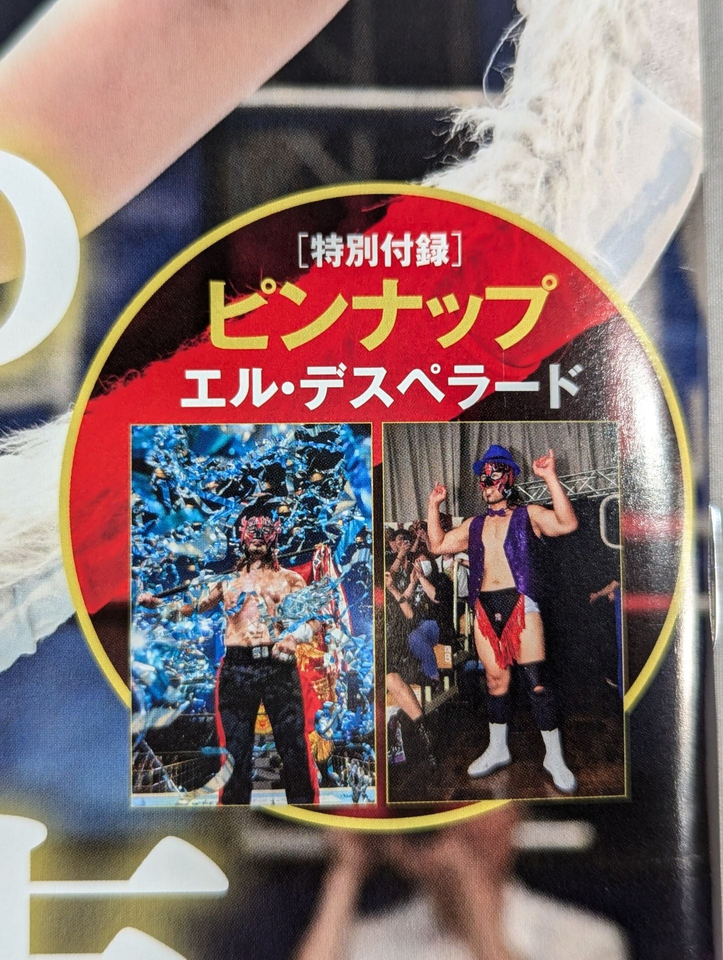 週刊プロレス2307