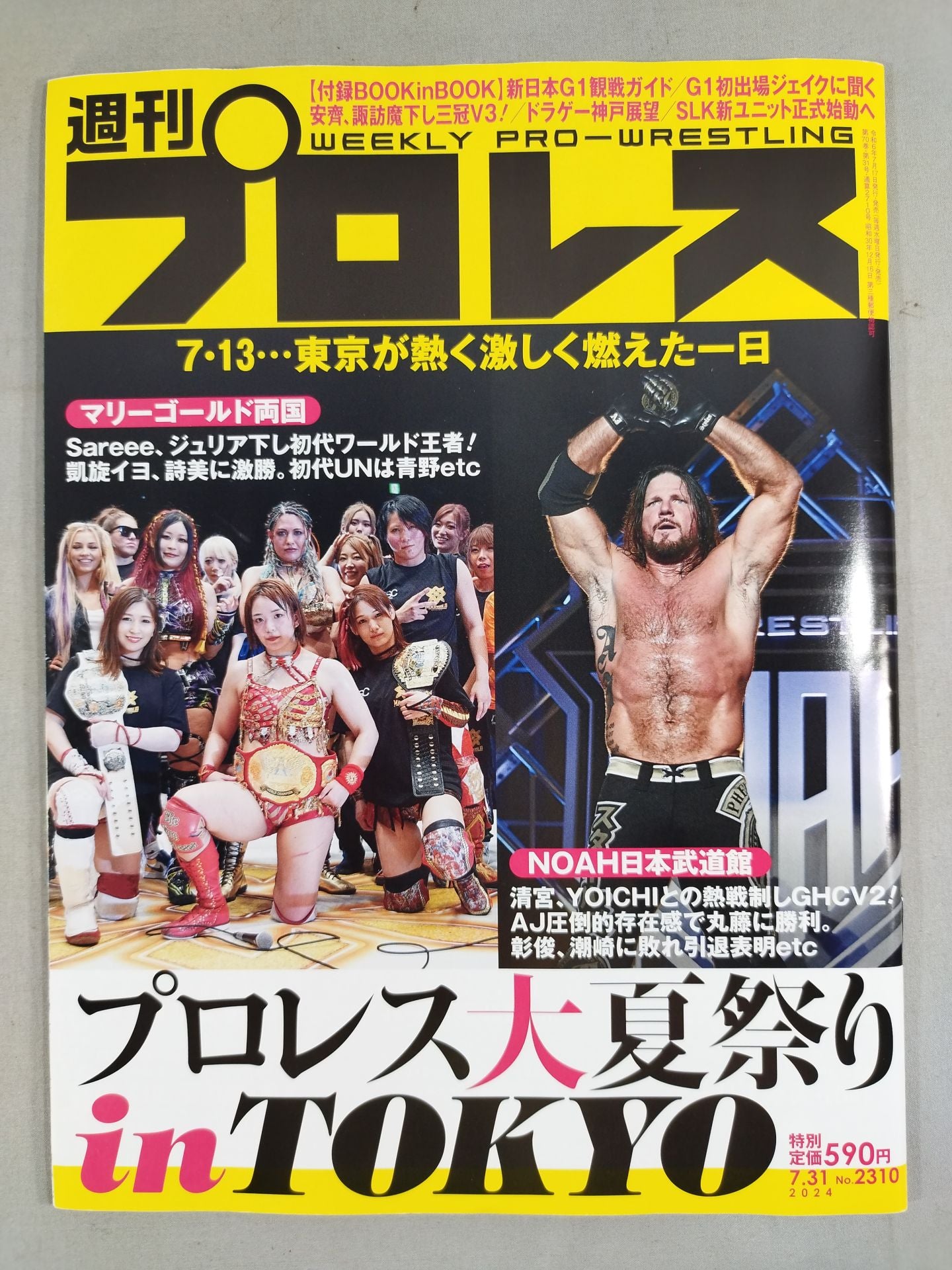 週刊プロレス2310