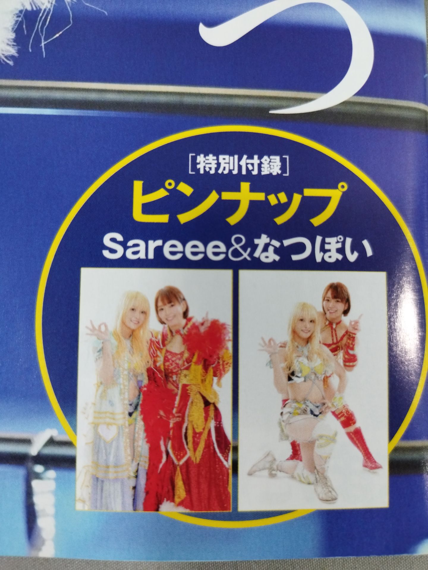 週刊プロレス2312