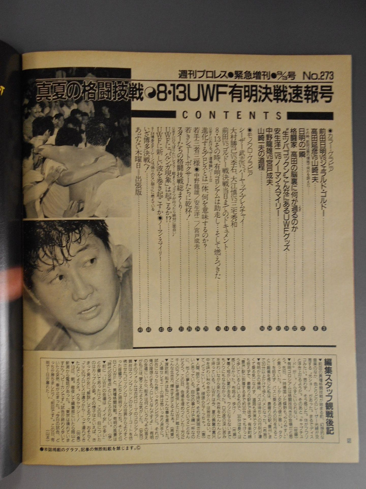 Weekly Pro Wrestling 273