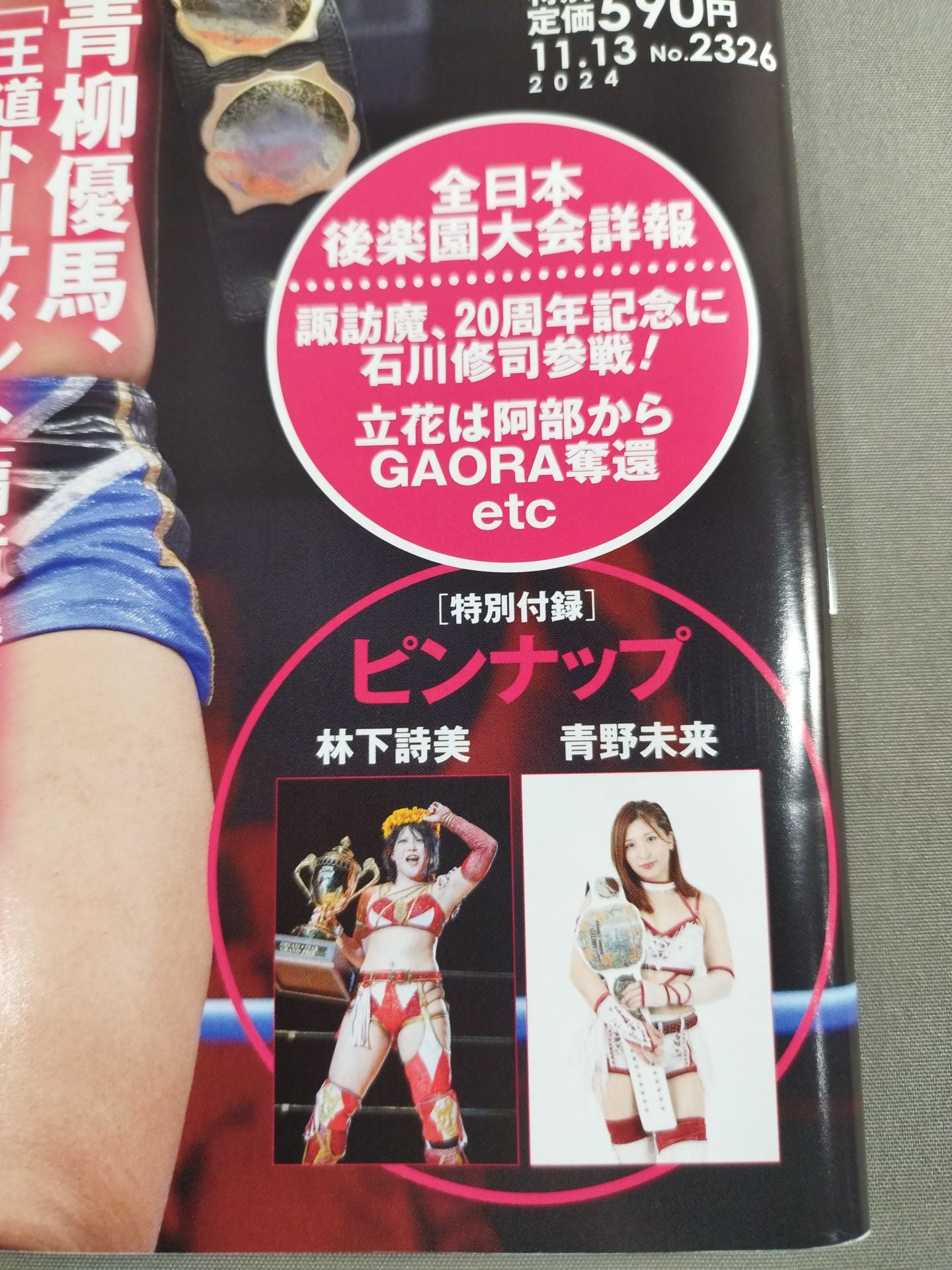 Weekly Pro Wrestling 2326