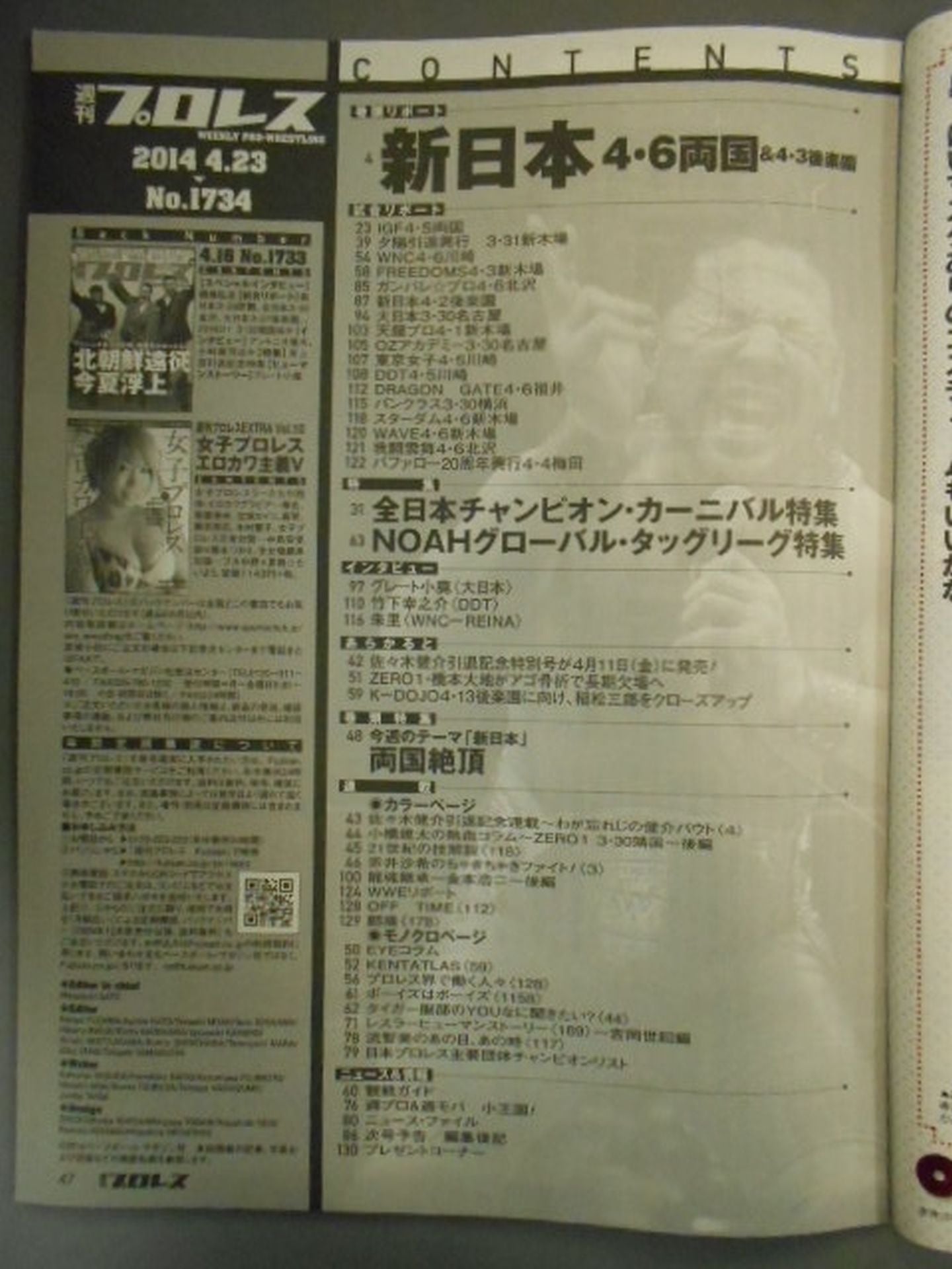 Weekly Pro Wrestling 1734